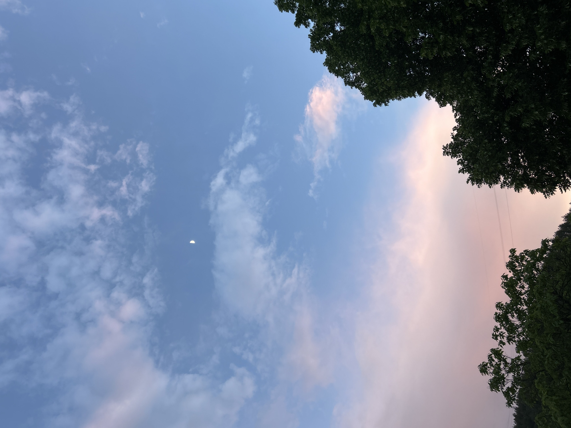 Rainbow sightings and sky watching documented across two hours