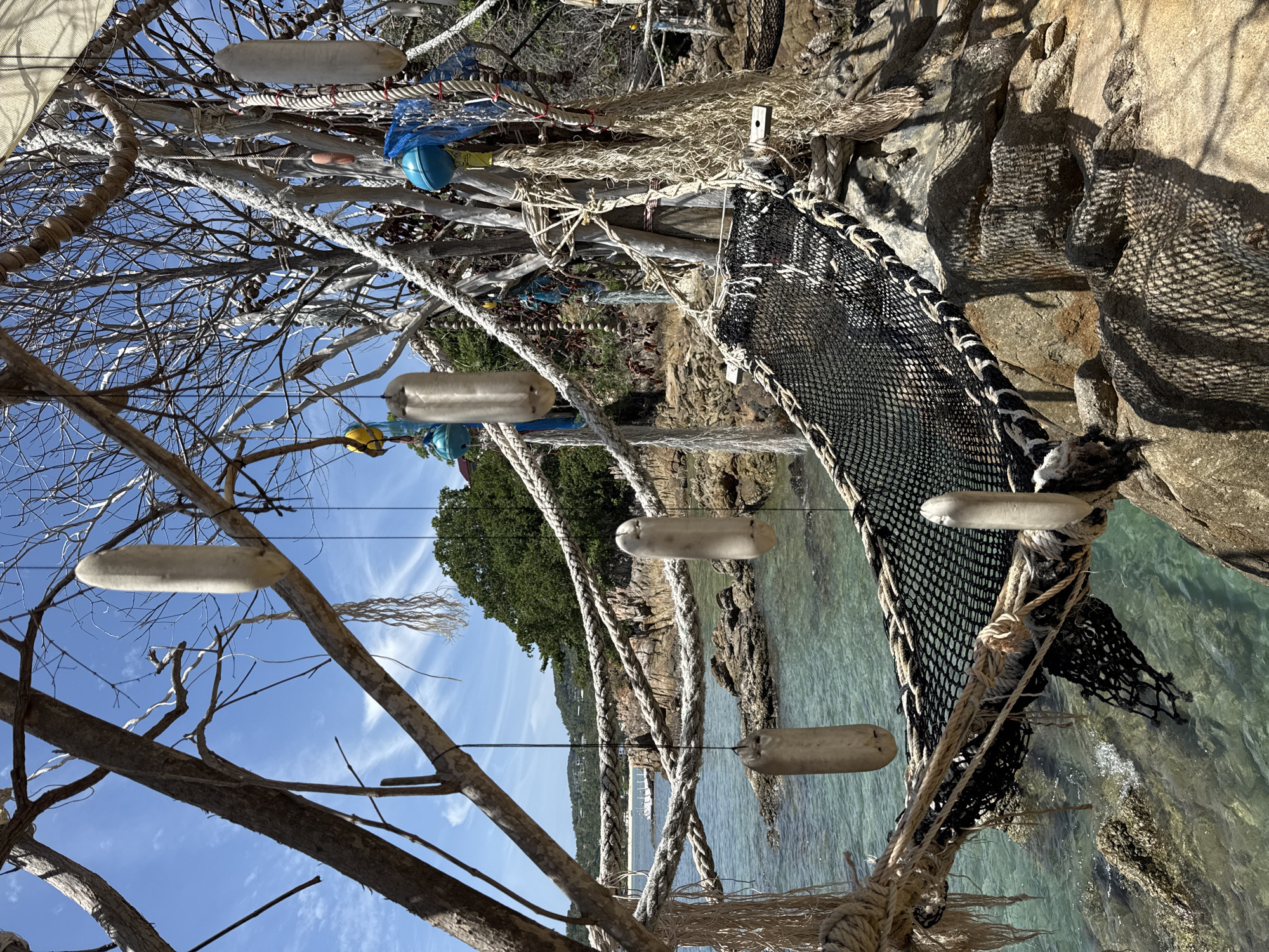 Hammocks, driftwood art, and turquoise water in Ko Pha-ngan