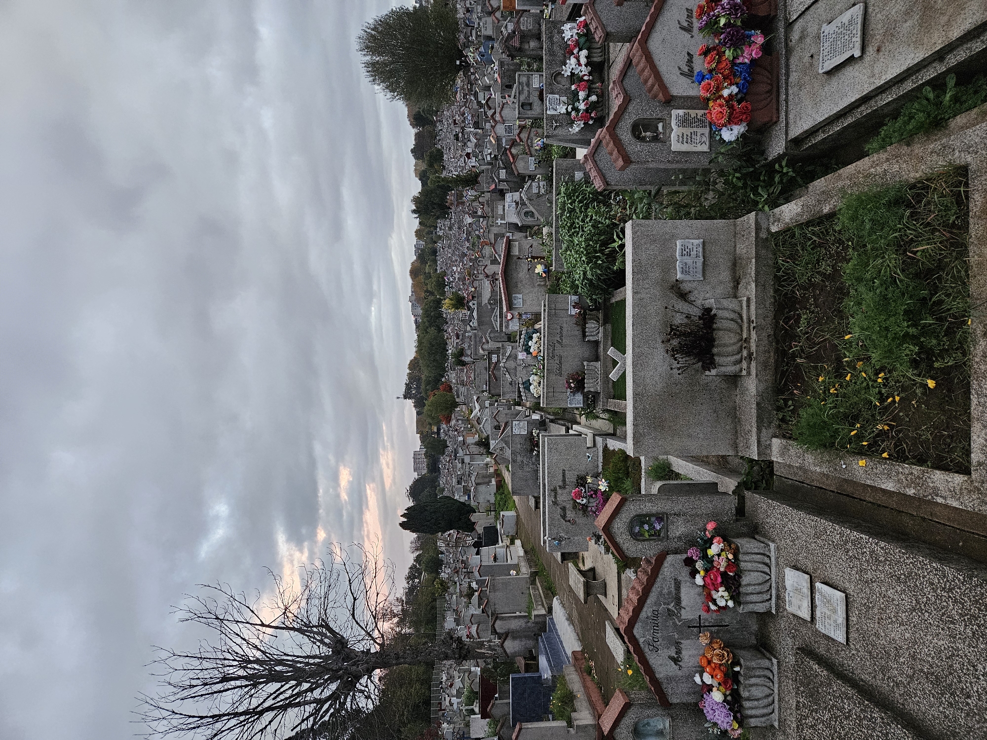 Cemetery documented in Temuco, Chile under overcast skies