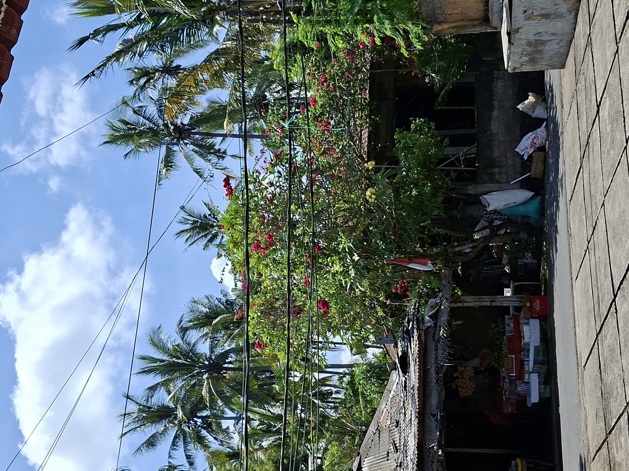Early morning documentation tour through Karangasem, Bali