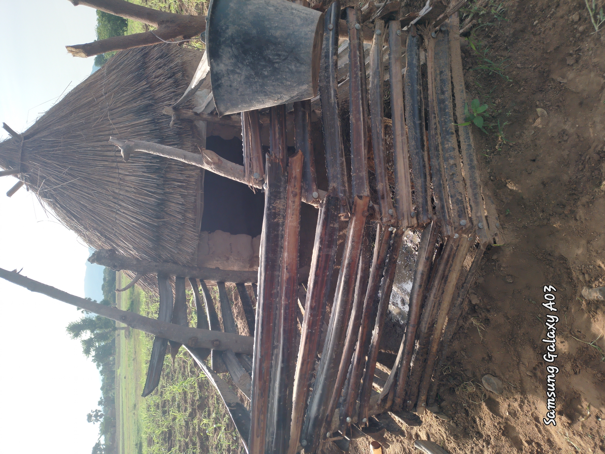 Rural morning scenes documented in Nigerian farming village