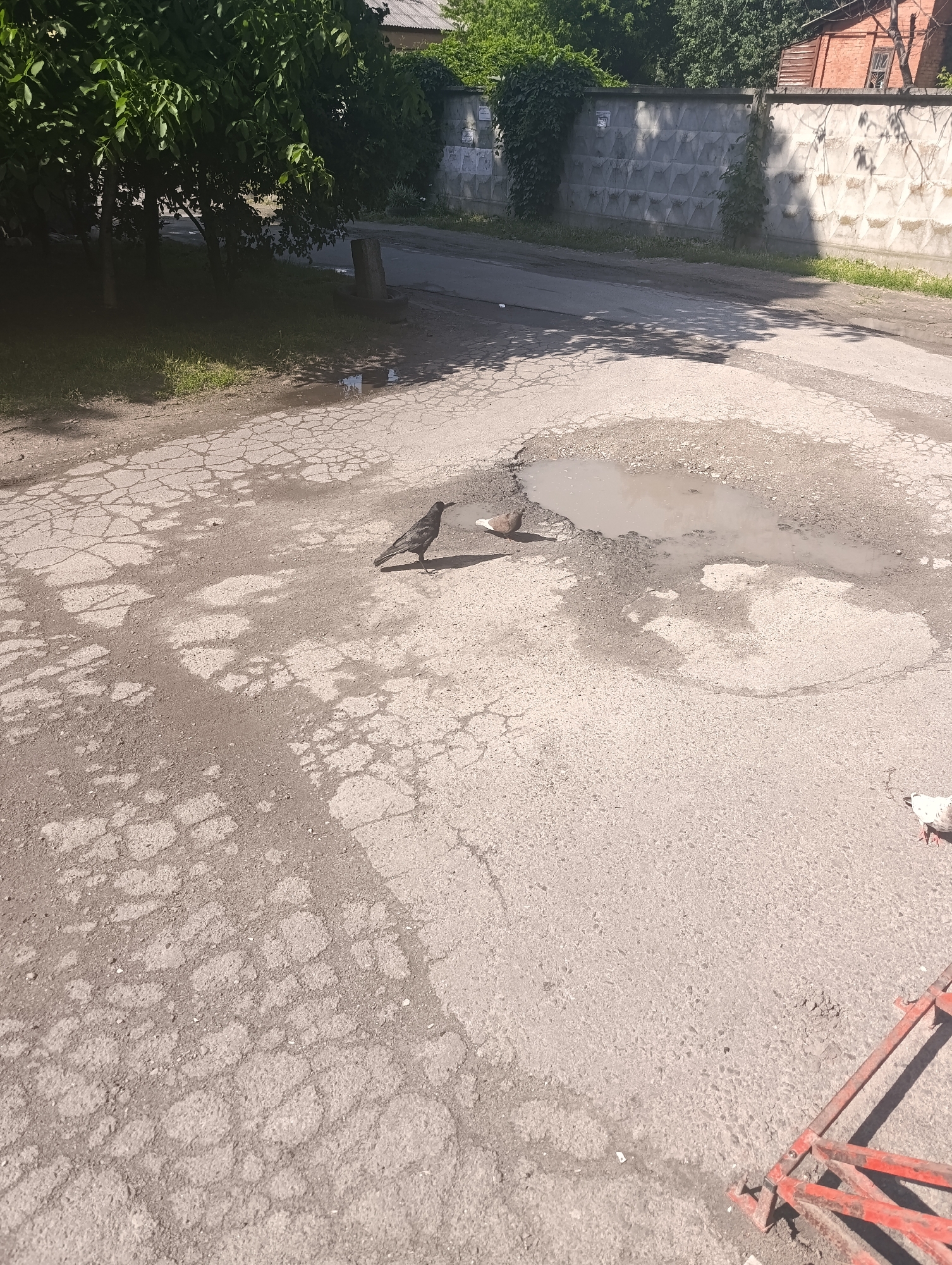 Daily life documented across Chernihiv, Ukraine neighborhoods