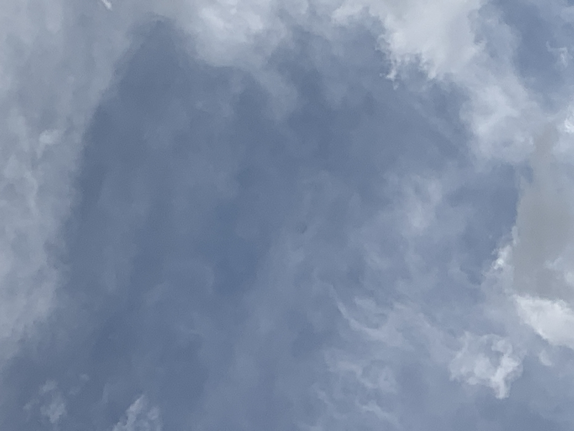 Cloudy skies, instant coffee, and a body mist snap