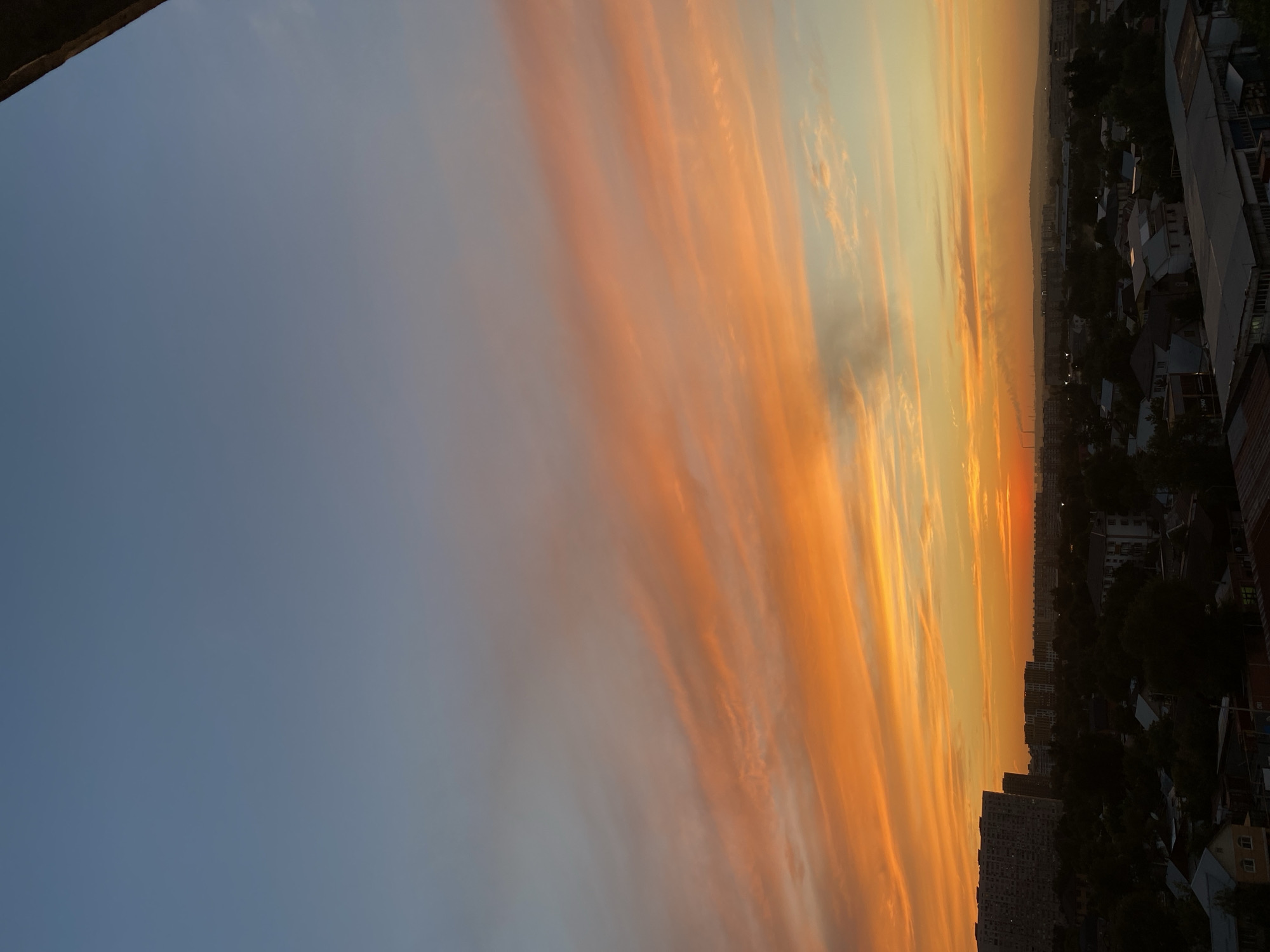 Almaty evening: sunset skies, roaming cats, and backyard life