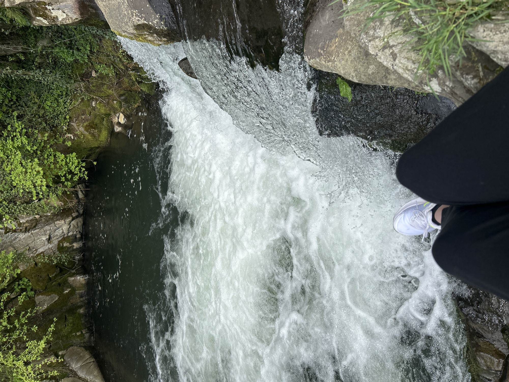 Witness documents waterfall scene with forest and buildings