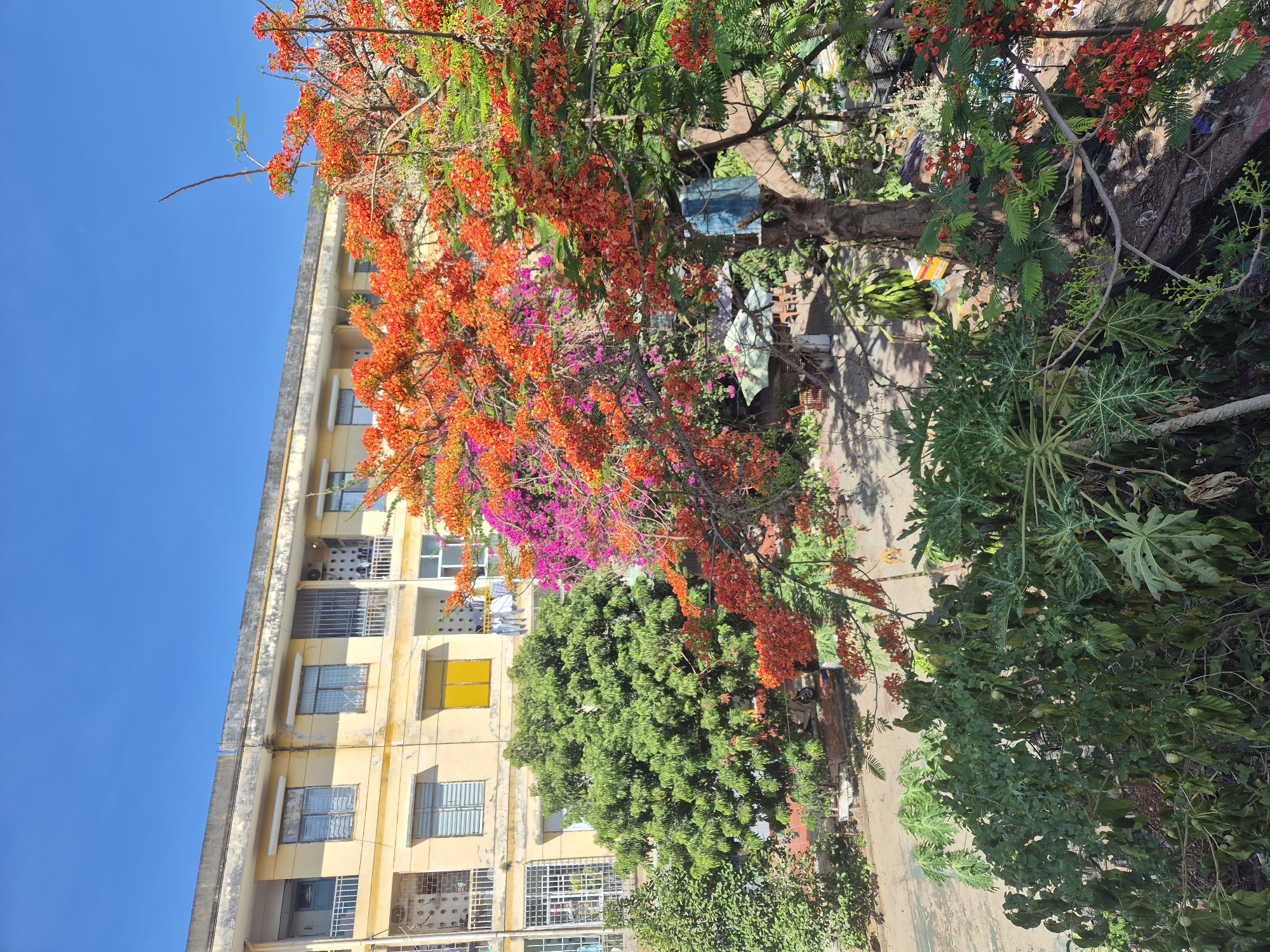 Morning walk through Đà Nẵng captures diverse urban scenes