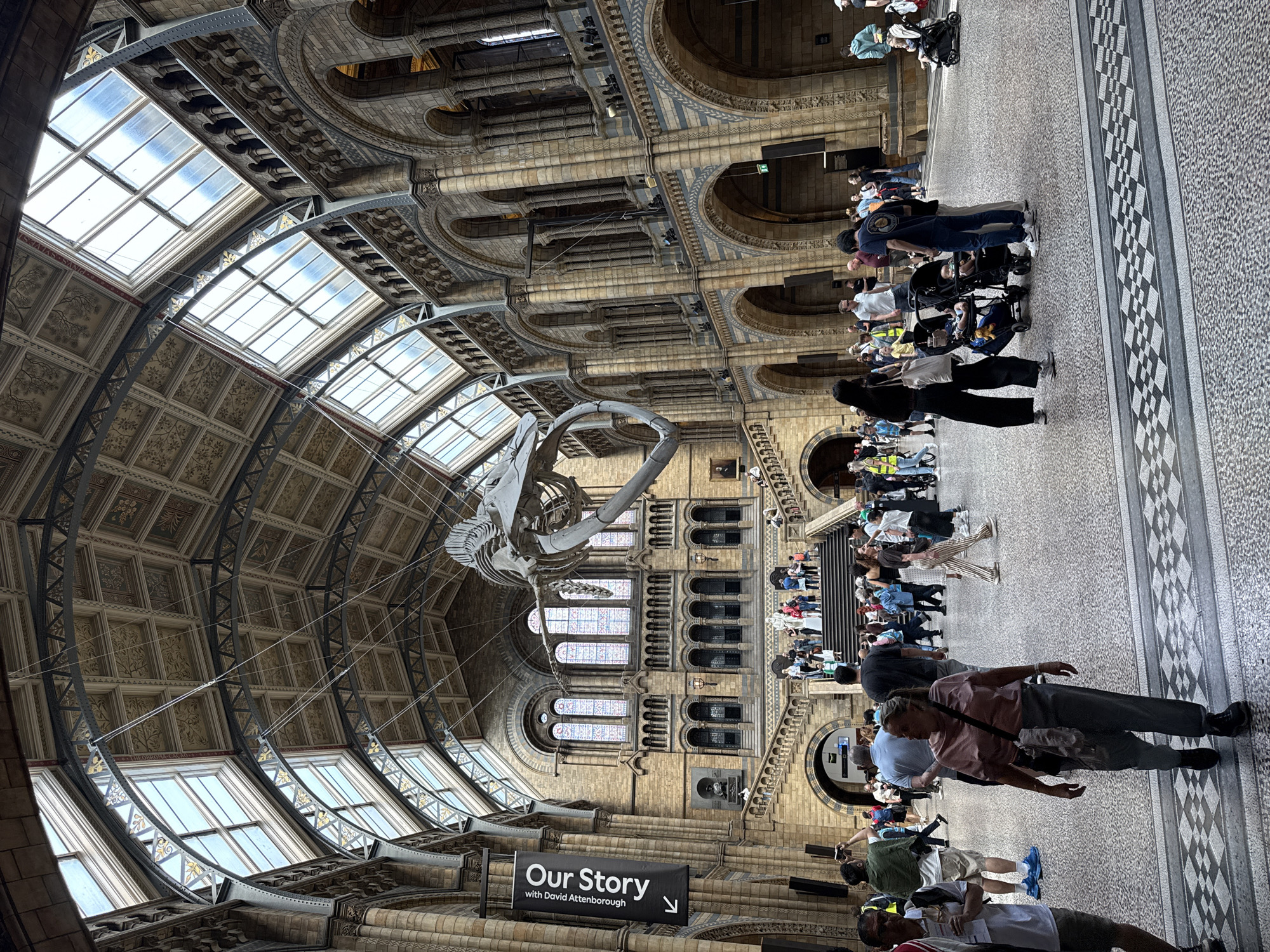 Visitor documents Natural History Museum London during busy morning