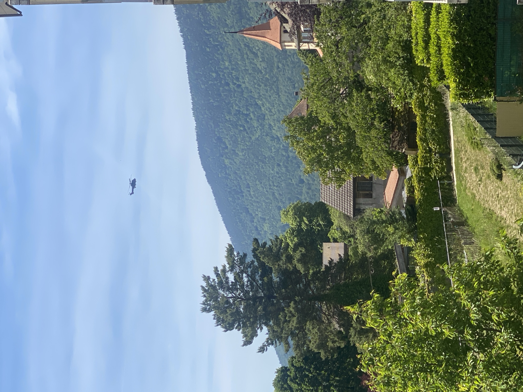 Helicopter spotted over forested Milvignes landscape on sunny morning