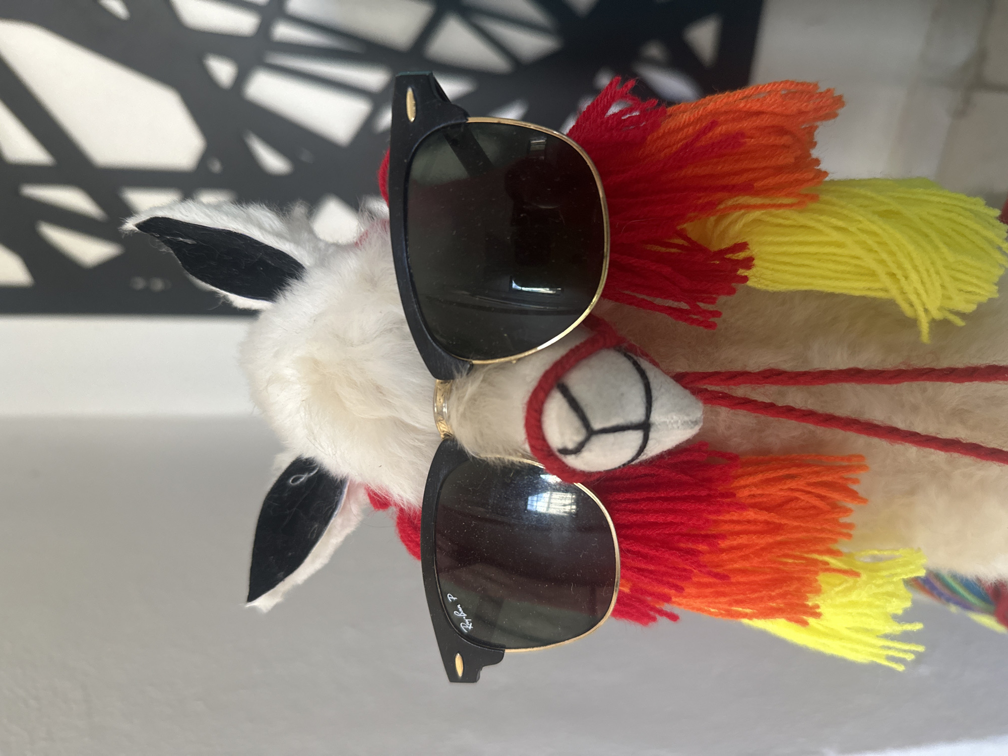 Decorative stuffed llama with sunglasses photographed in Mérida