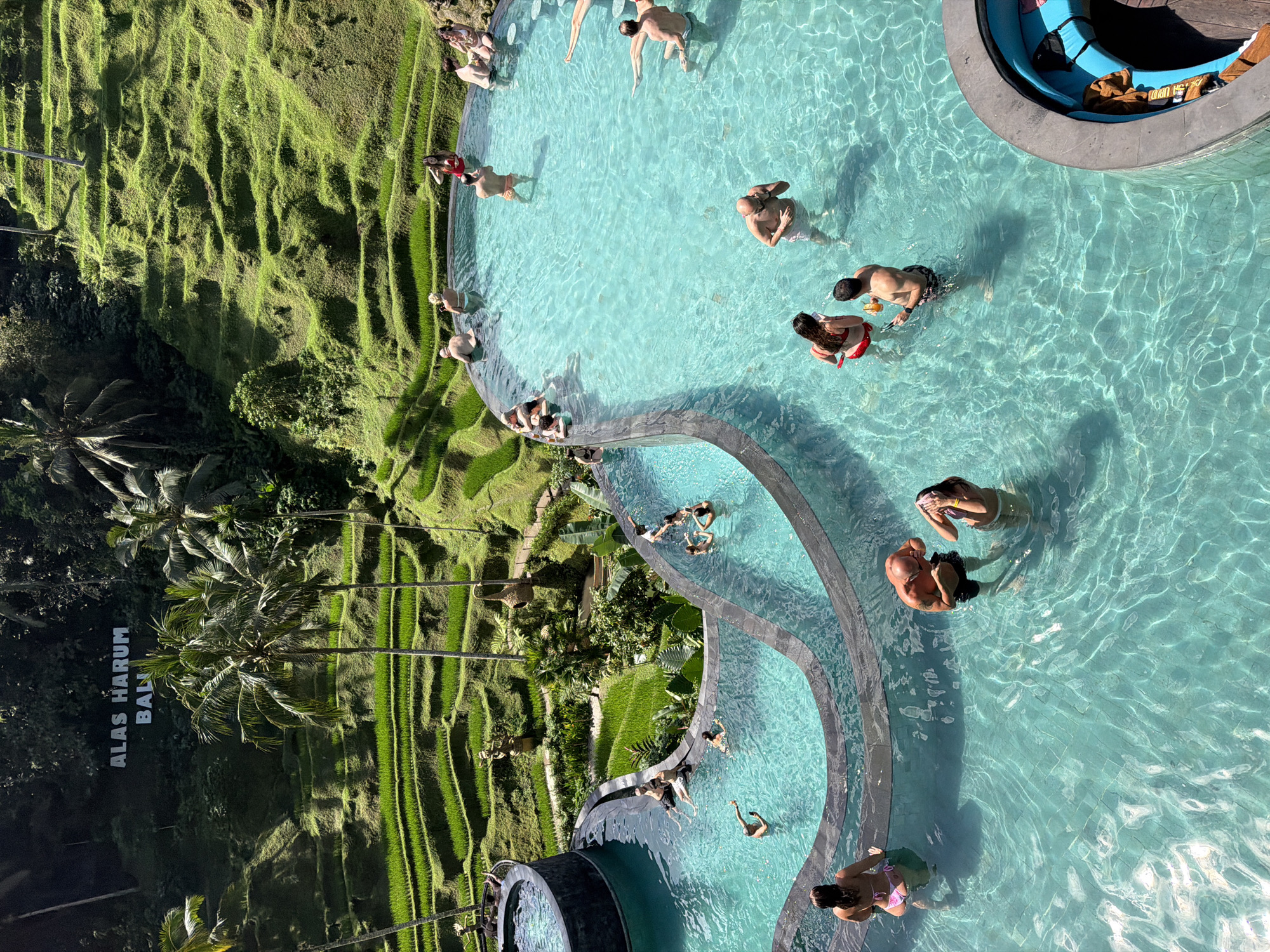 Infinity pool and rice terrace views at Tegallalang's Alas Harum