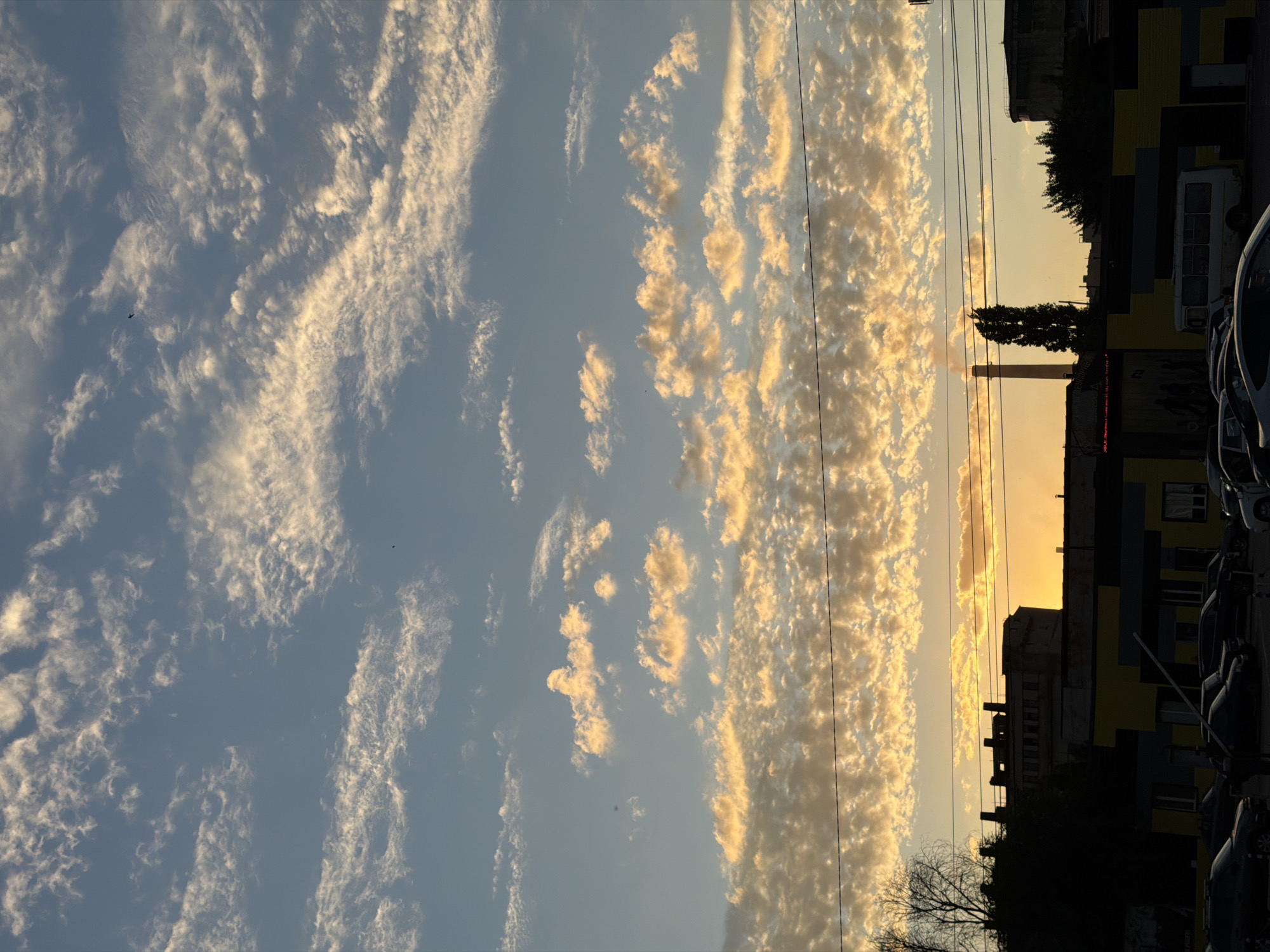 Dog walk and coffee run through Semiluki at sunset