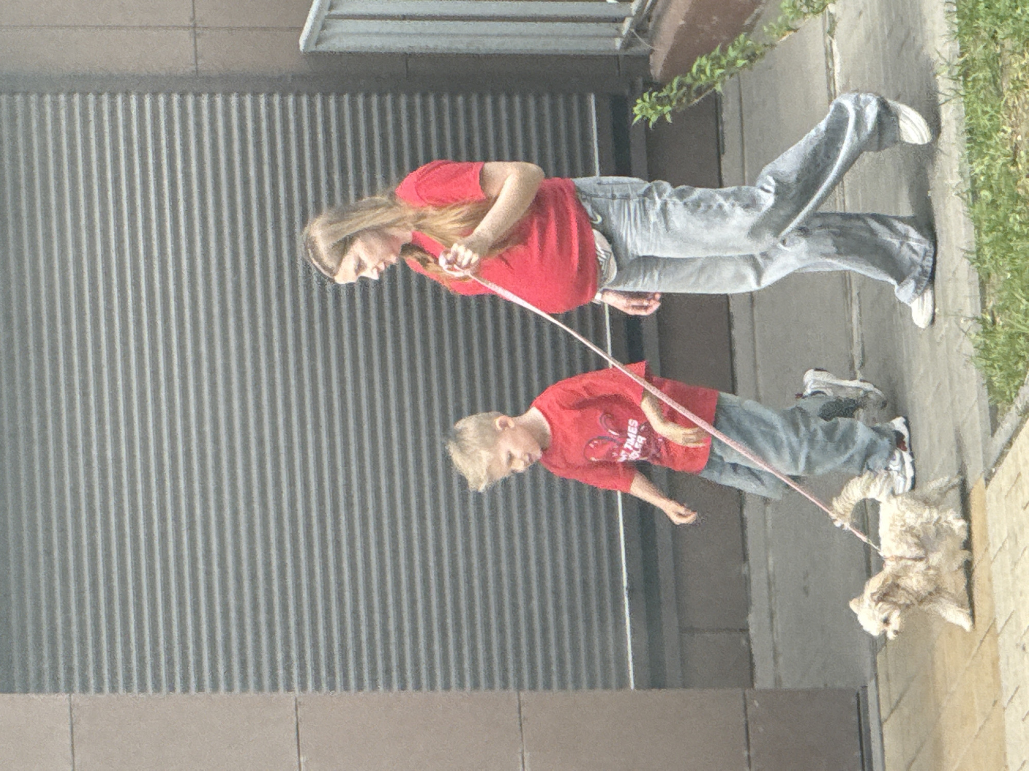 Dog walking and affectionate pet moments observed in urban area
