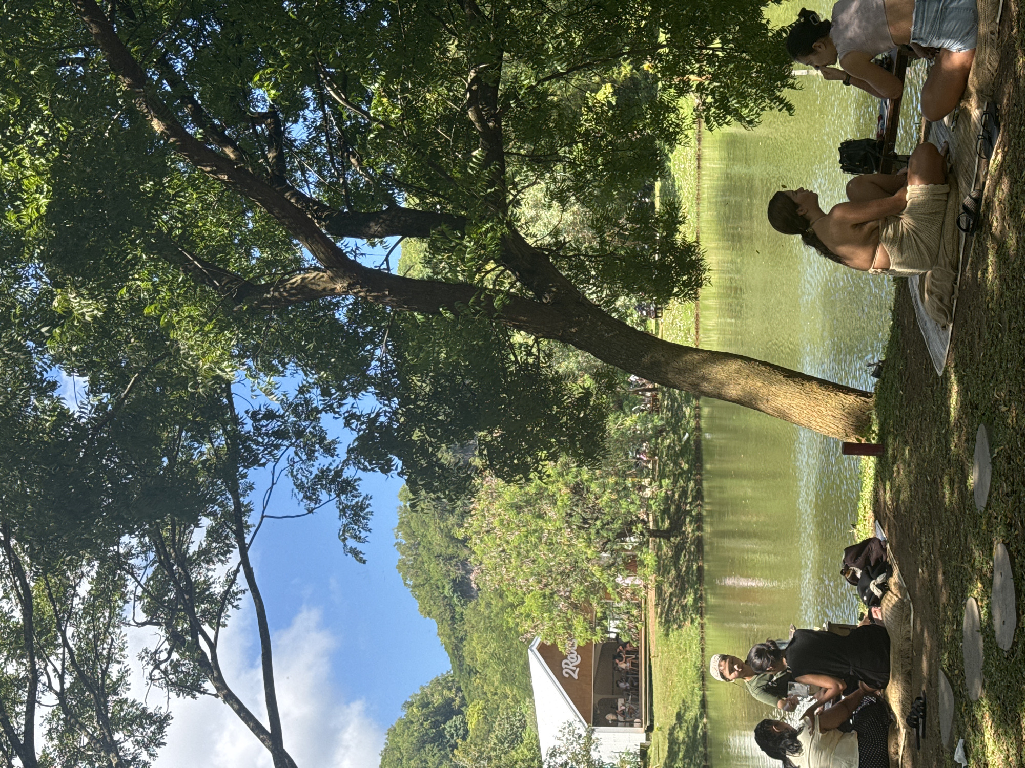Dawn lakeside gathering draws peaceful moments under spring canopy