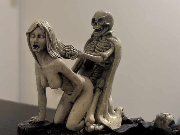 Collector documents figurines and cat in Perm apartment