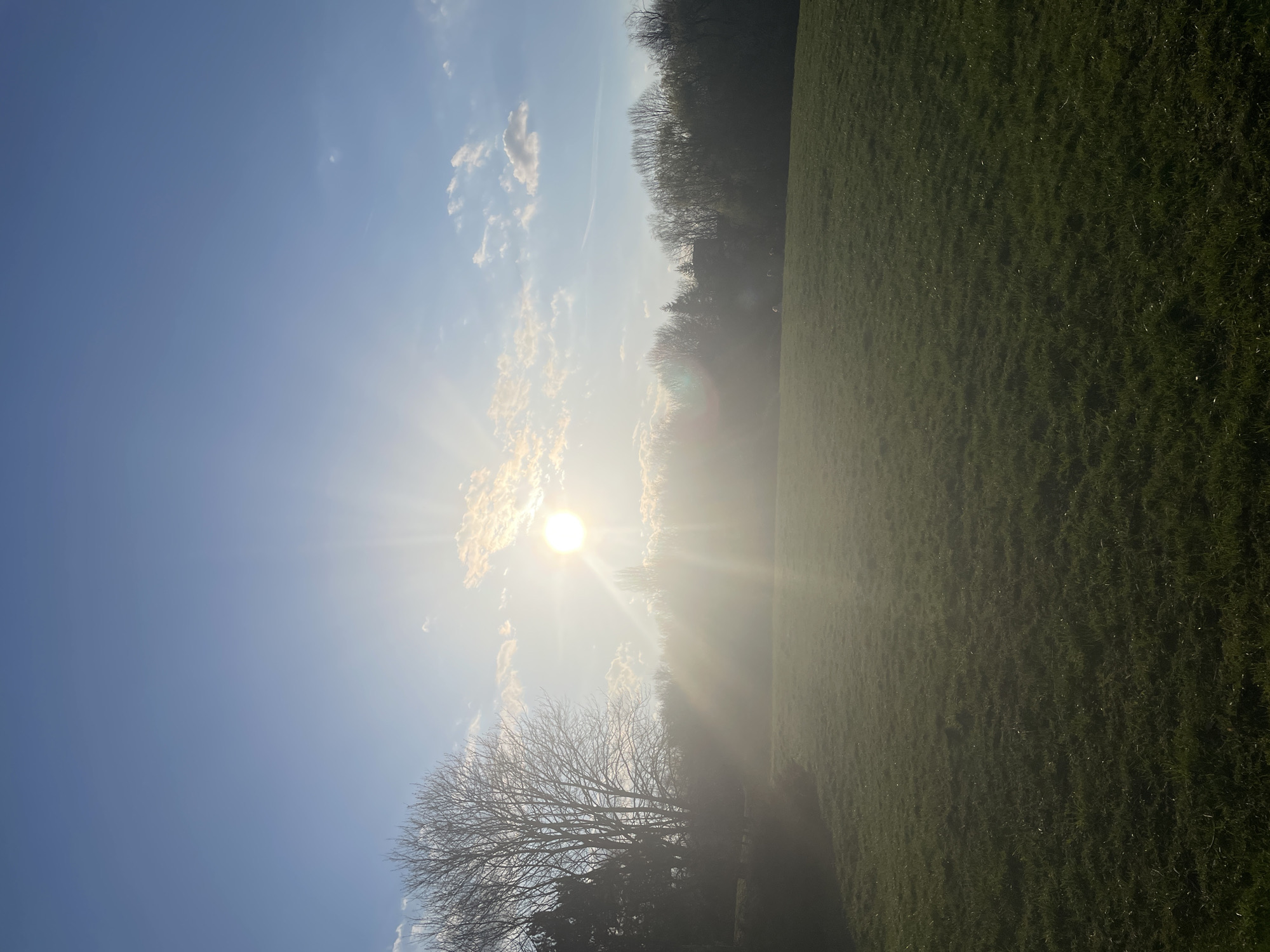 Sunny spring afternoon captured in Sofia park and fields