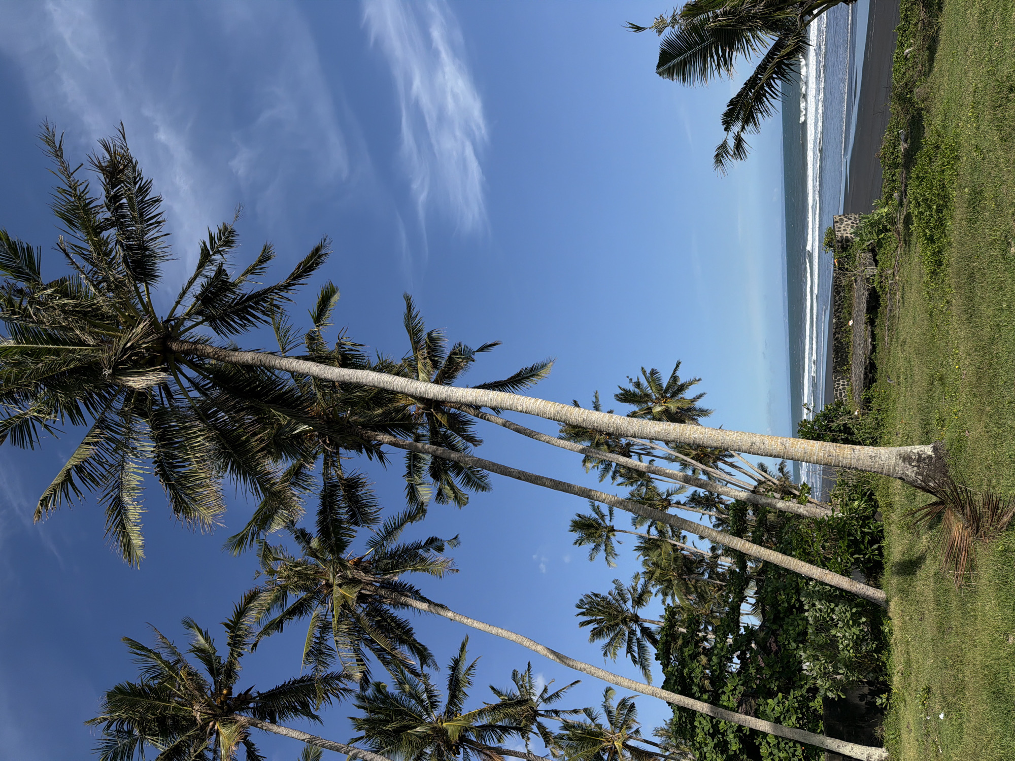 Morning tourism activities documented in Kerambitan, Indonesia beaches