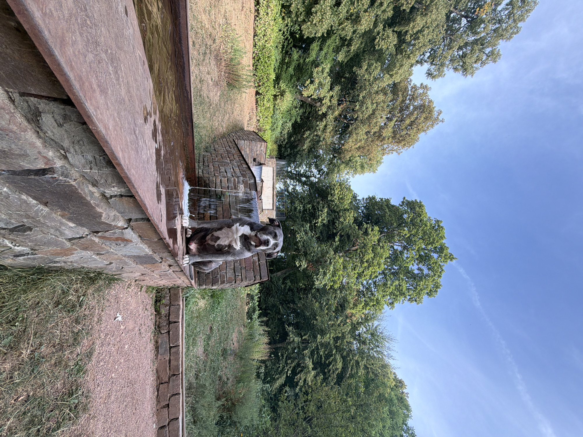 Dogs and park scenery at a Luxembourg water feature