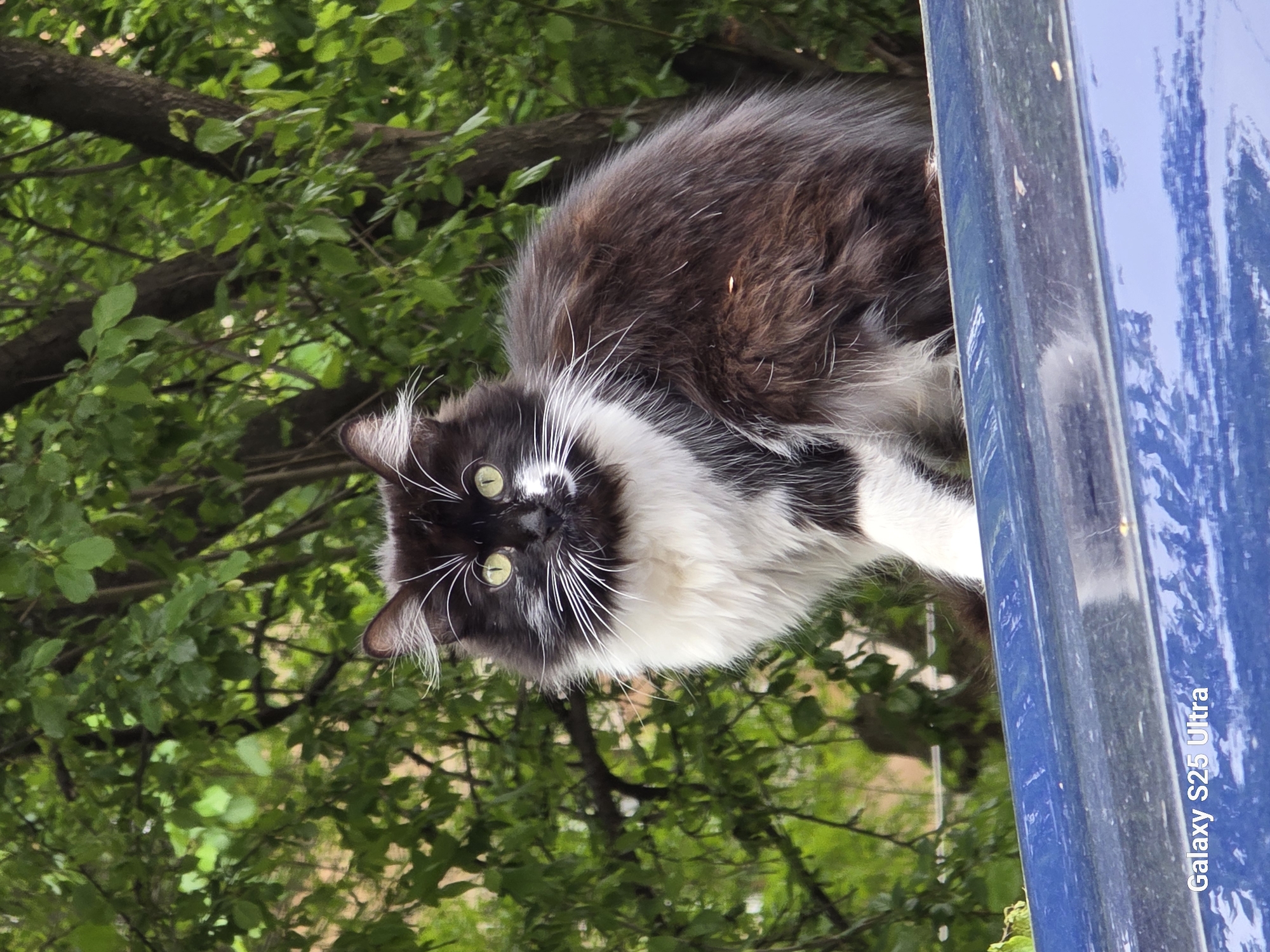 Casual afternoon moments documented across Pernik, Bulgaria