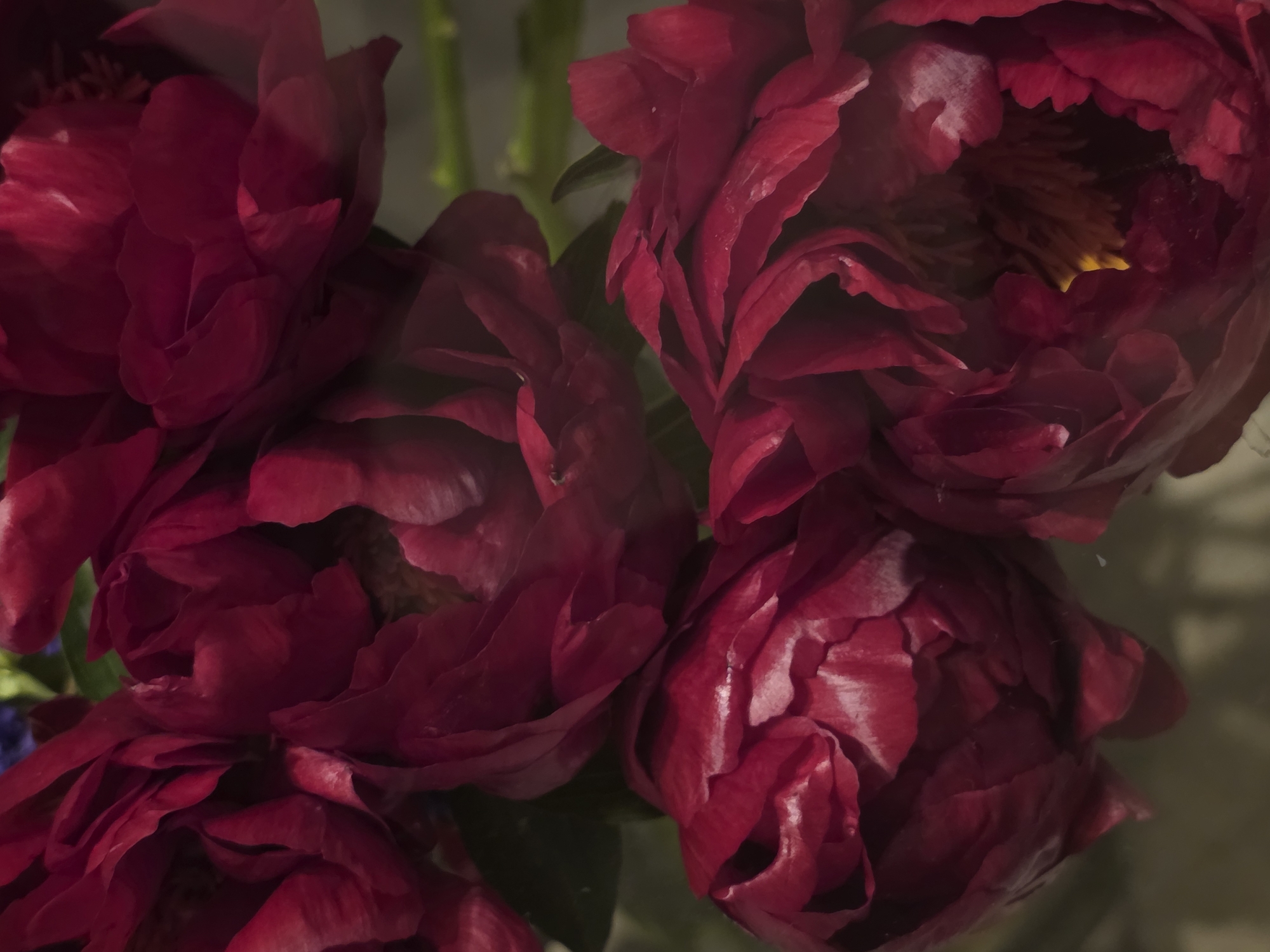 Urban explorer captures diverse scenes from flowers to architecture