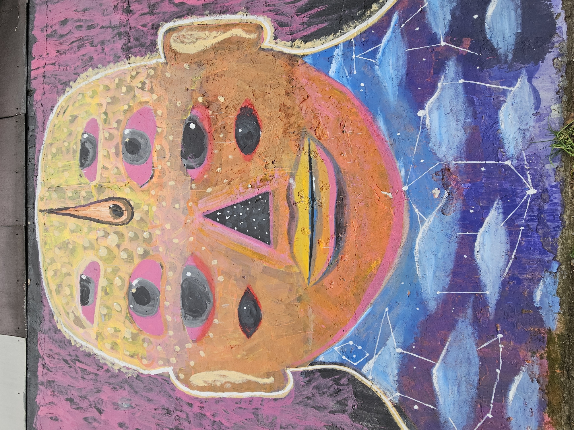 Street art documentation captured across Temuco, Chile neighborhoods
