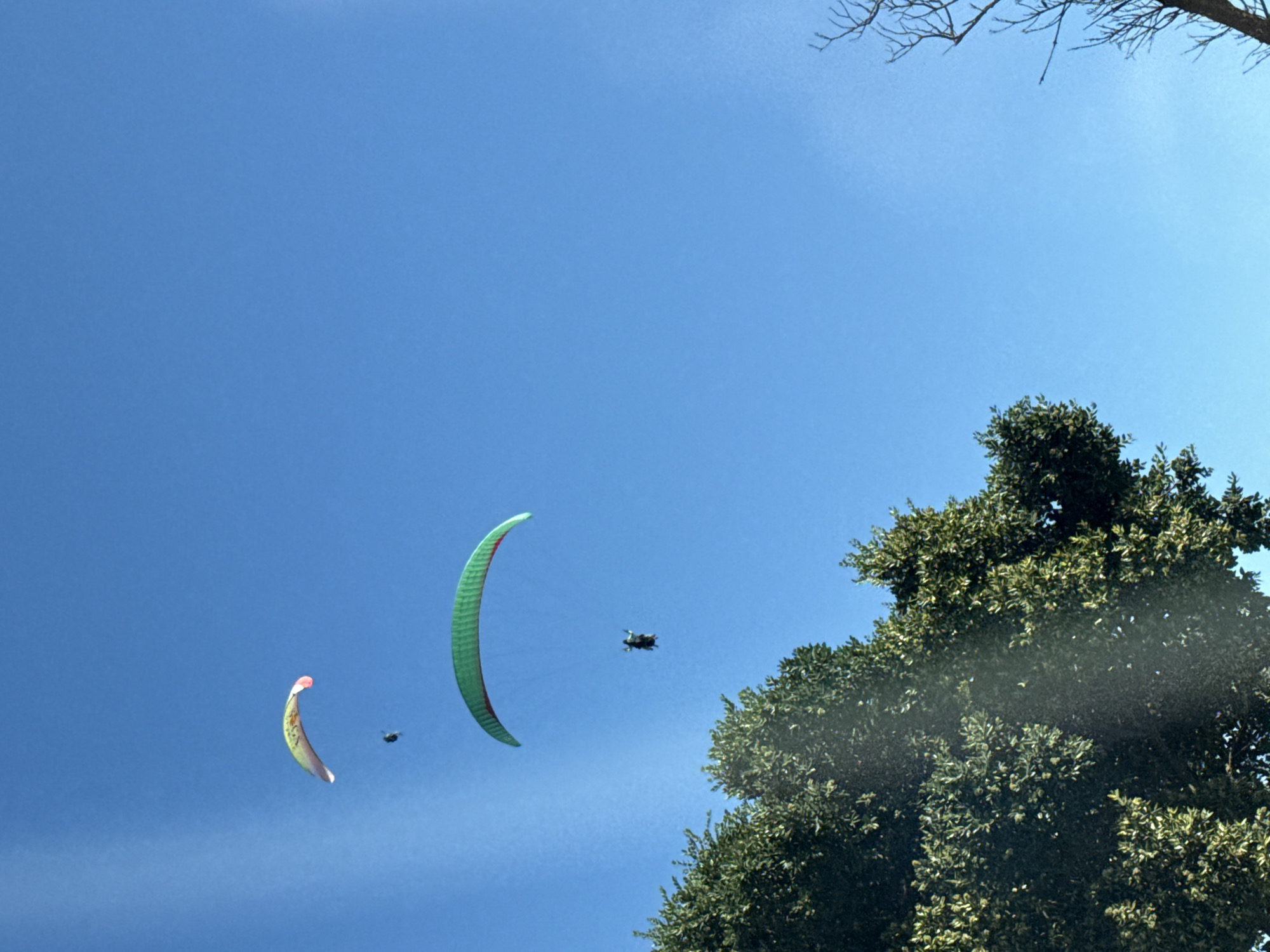 Paragliders spotted over Cape Town under clear skies