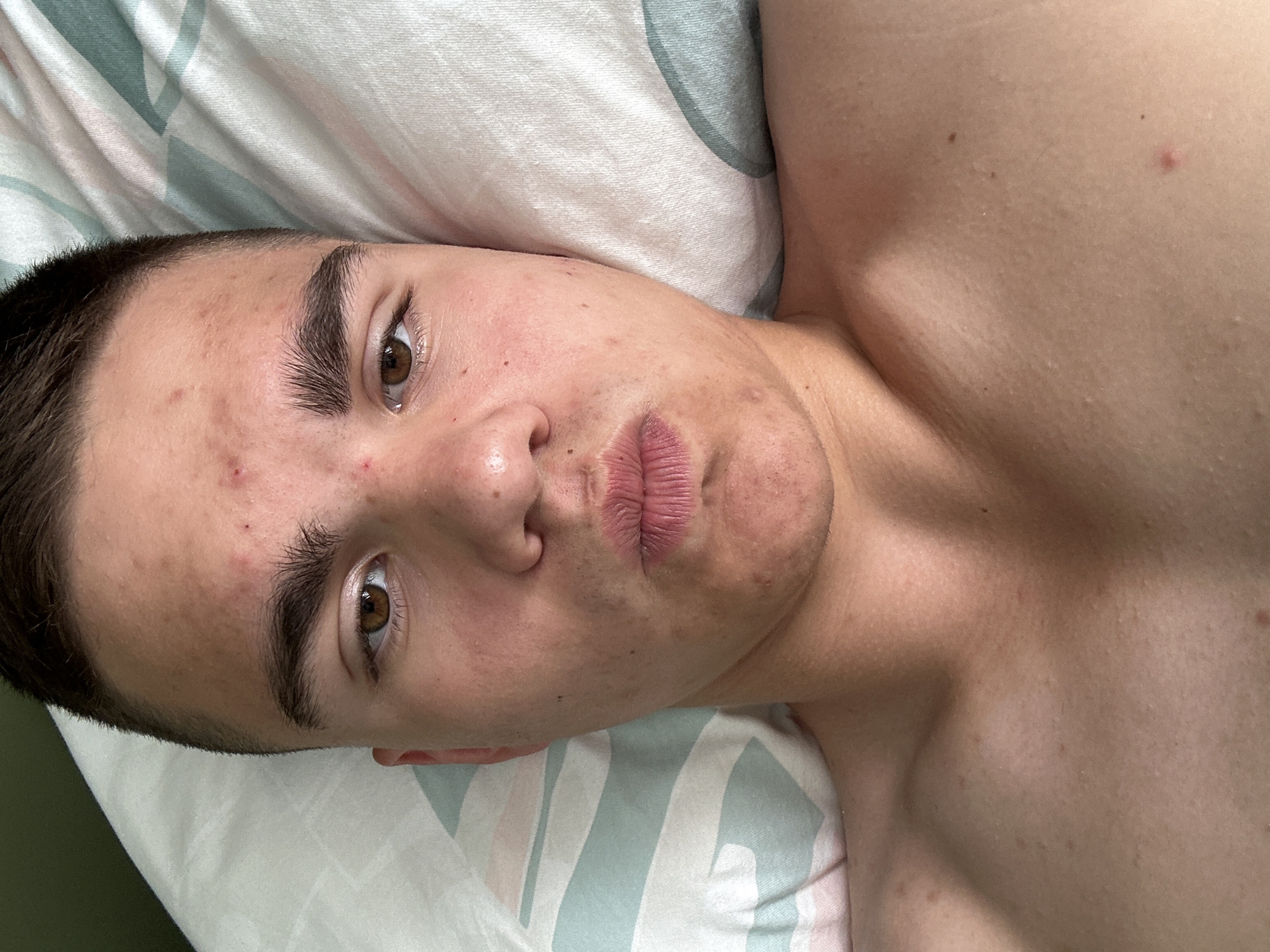 Lazy morning in bed with a gray cat nearby