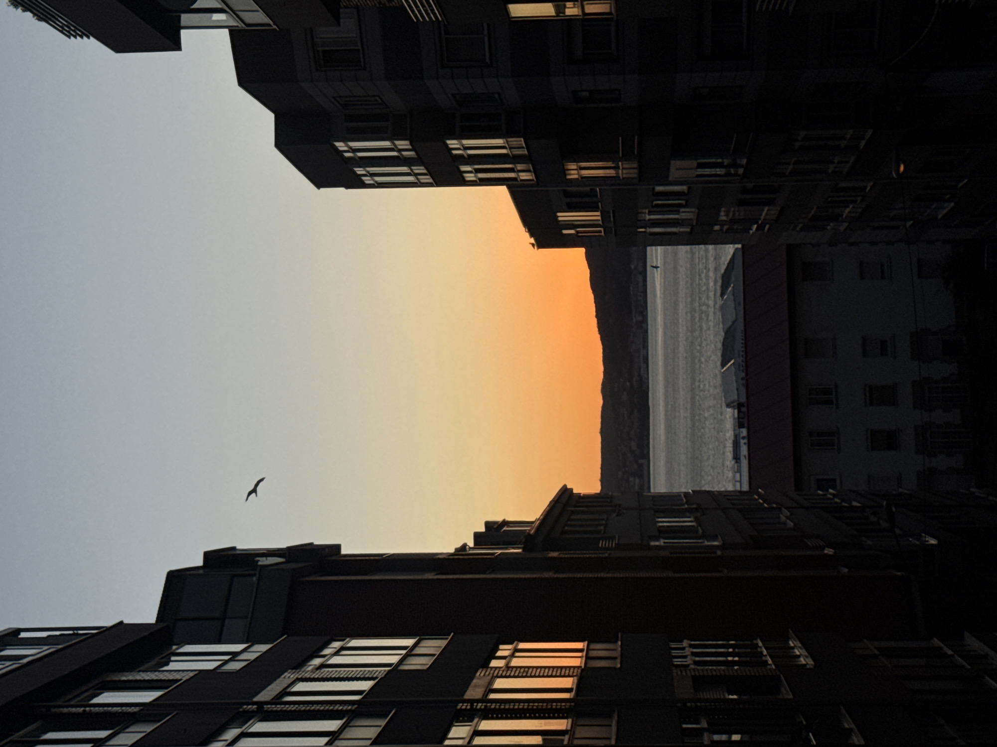 Vigo skyline at sunset, buildings silhouetted against summer sky