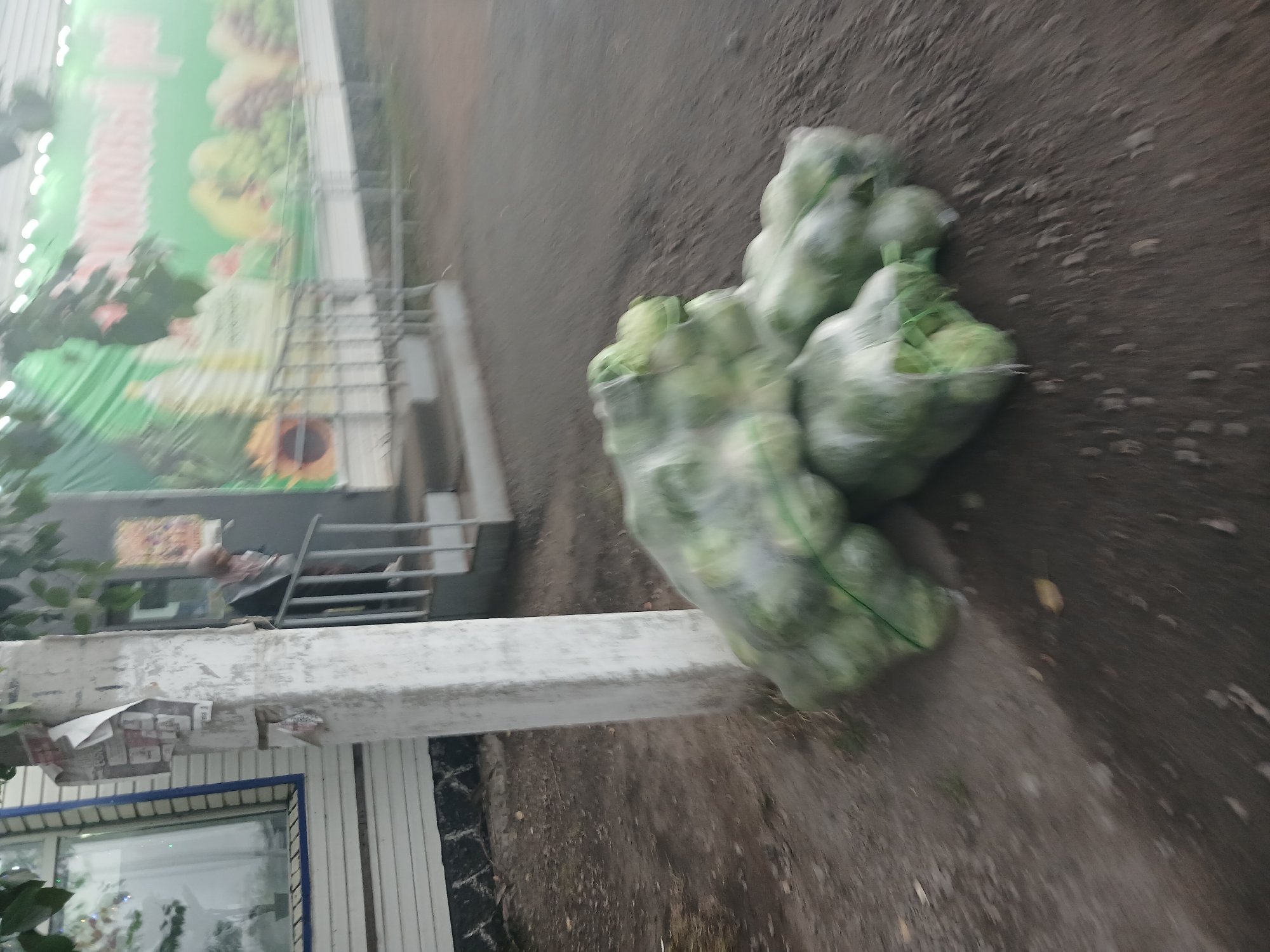 Makinsk, Kazakhstan after a summer rain