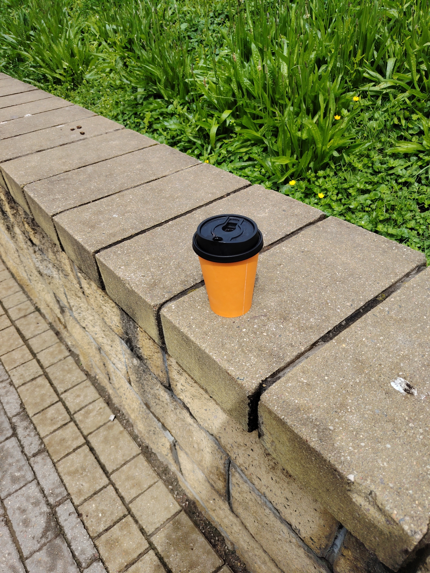 Morning park walk in Hrodna with stream and coffee
