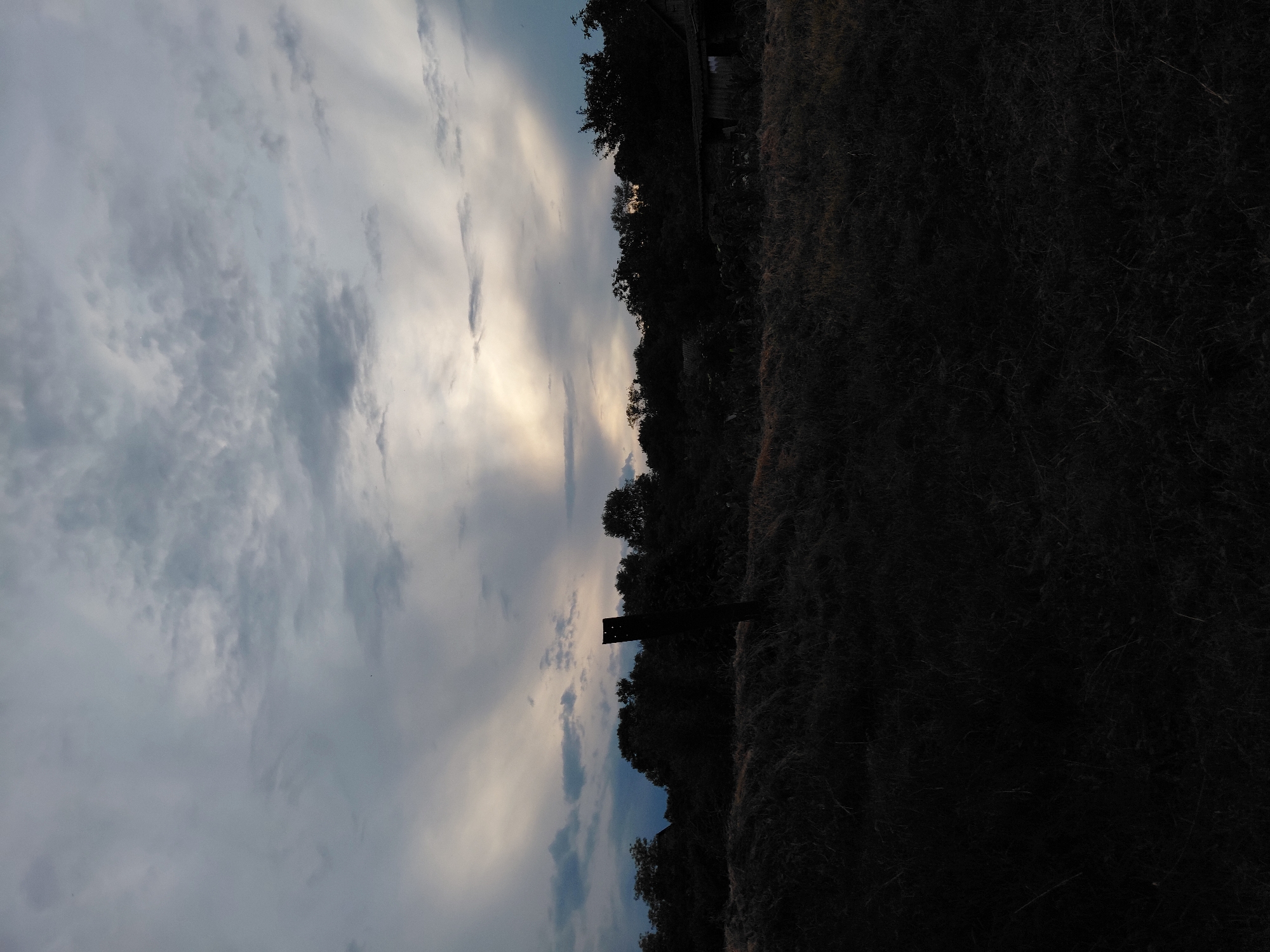 Rural roads and cats observed during overcast evening