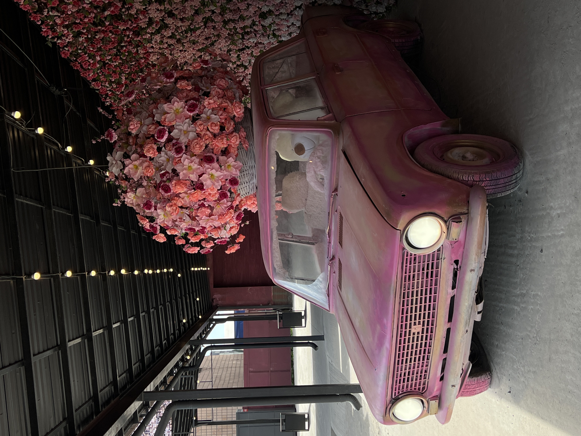 Flower shop and decorated vintage cars documented in Ternopil