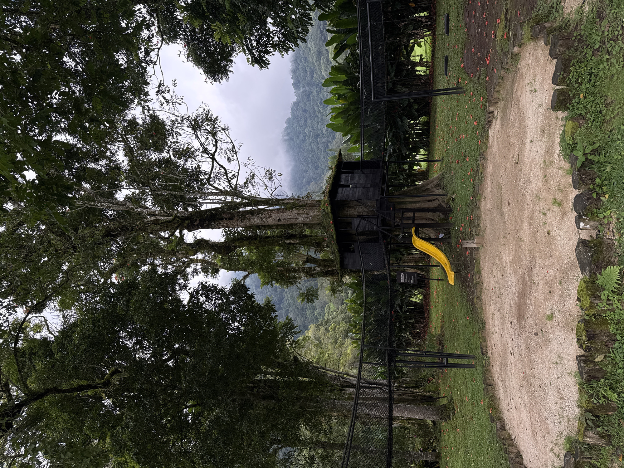 Tourist visits rabbit enclosure, documents scenic Sukasada landscape