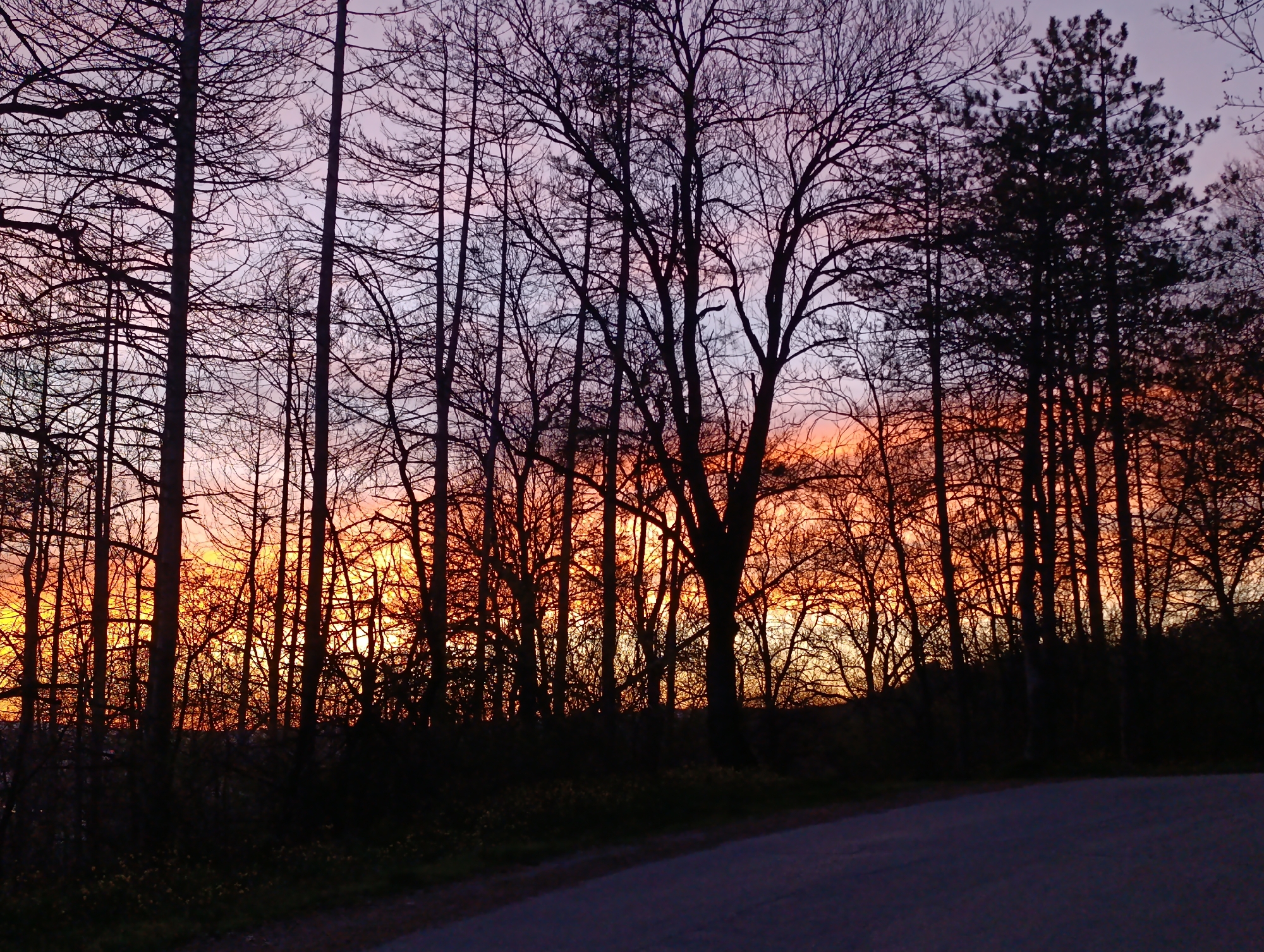 Dramatic sunset with forest silhouette observed in Veliko Tarnovo