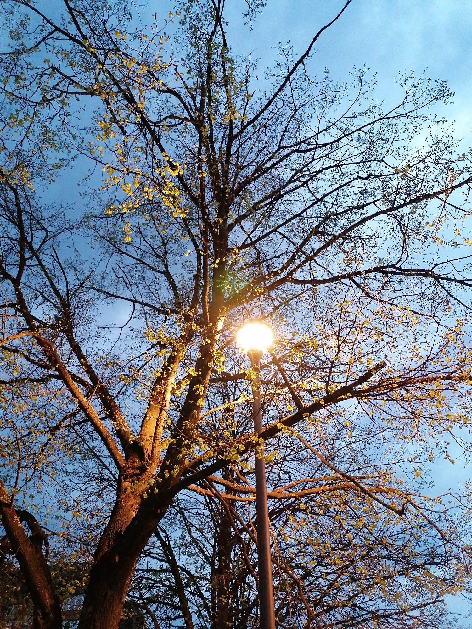 Evening urban walk documented through Chernogolovka neighborhood at dusk