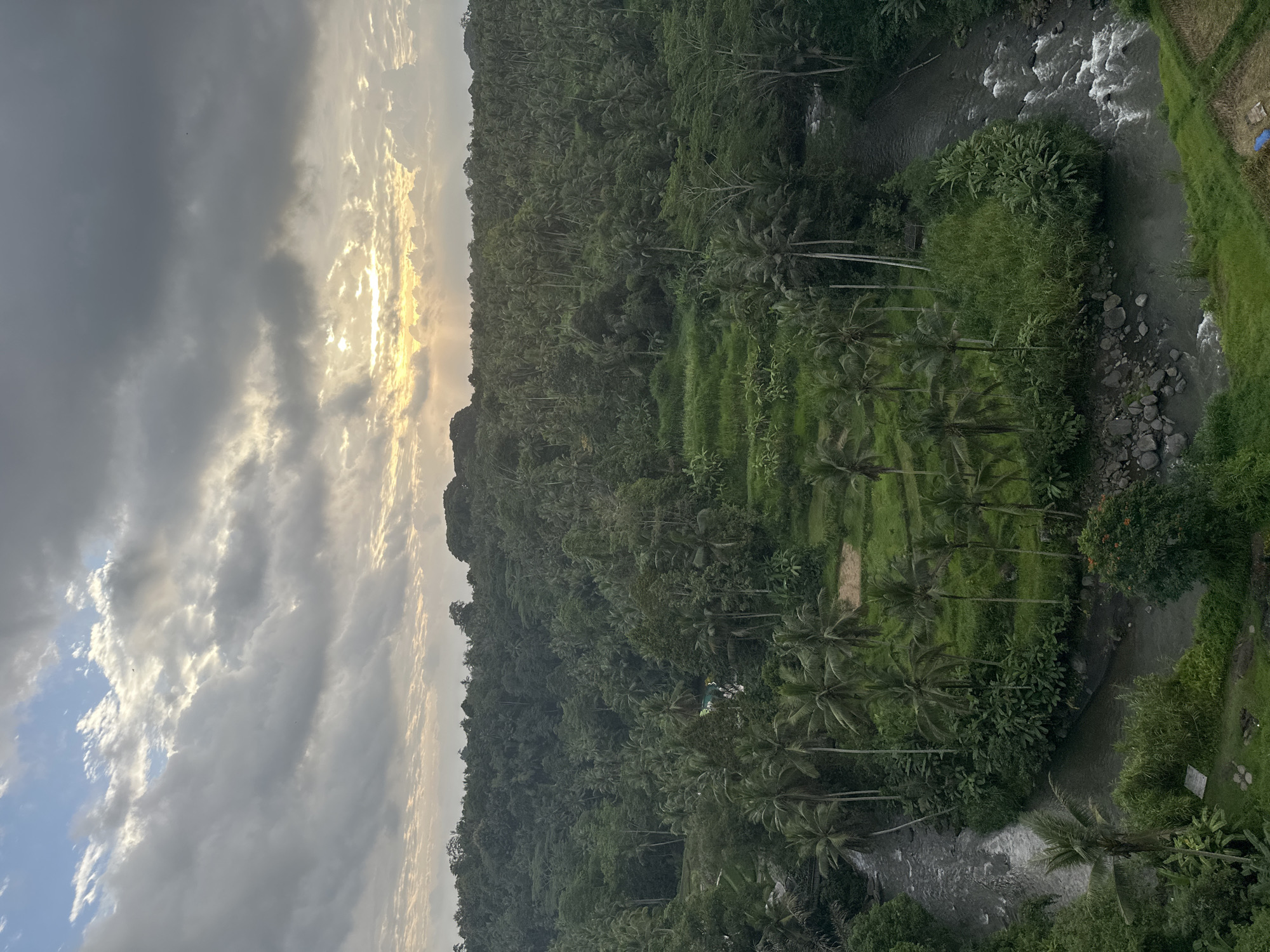 Tourist captures Ubud's tropical scenery and flaming cocktails