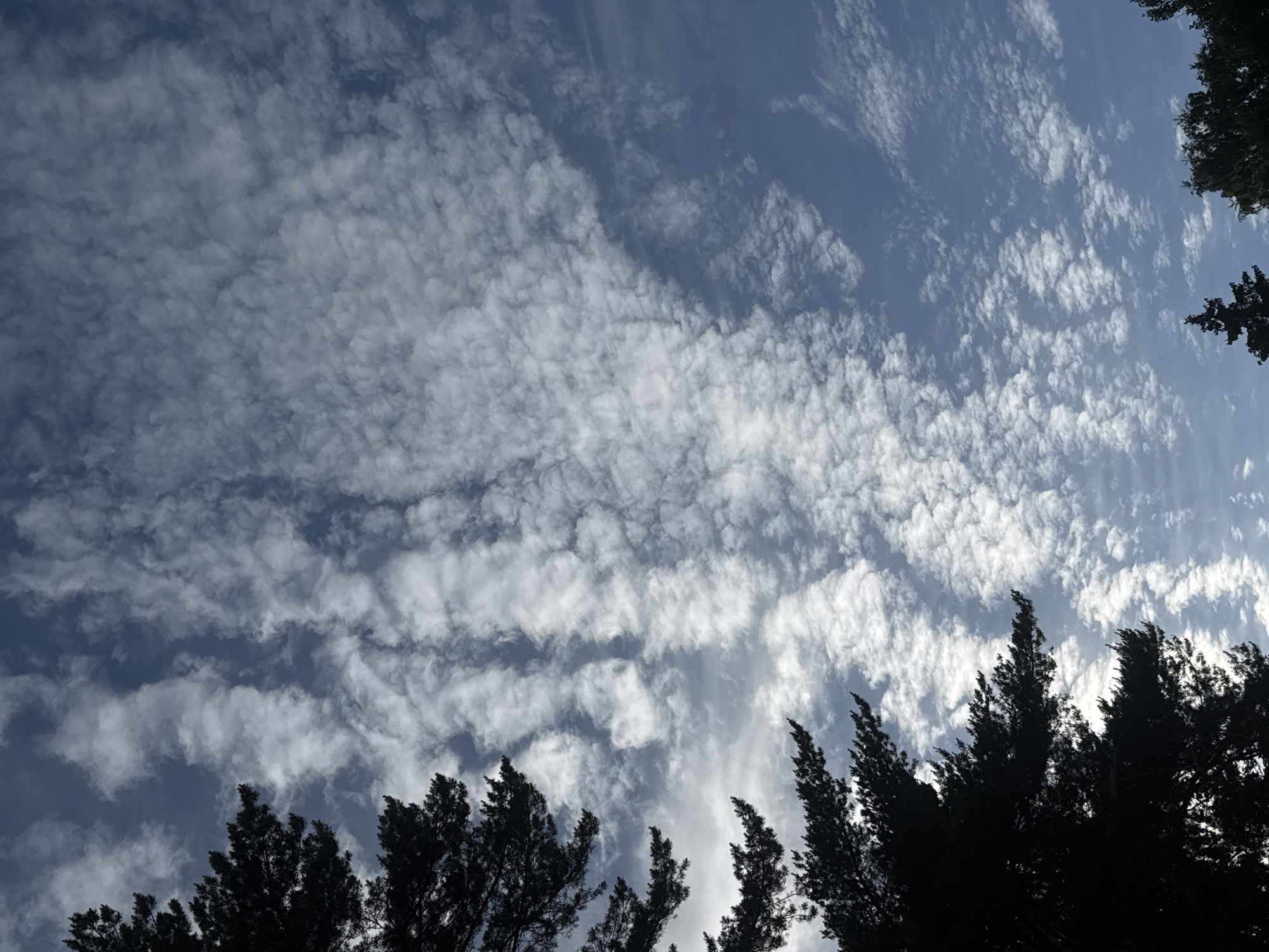 Rippled altocumulus clouds over Tallinn on a summer afternoon