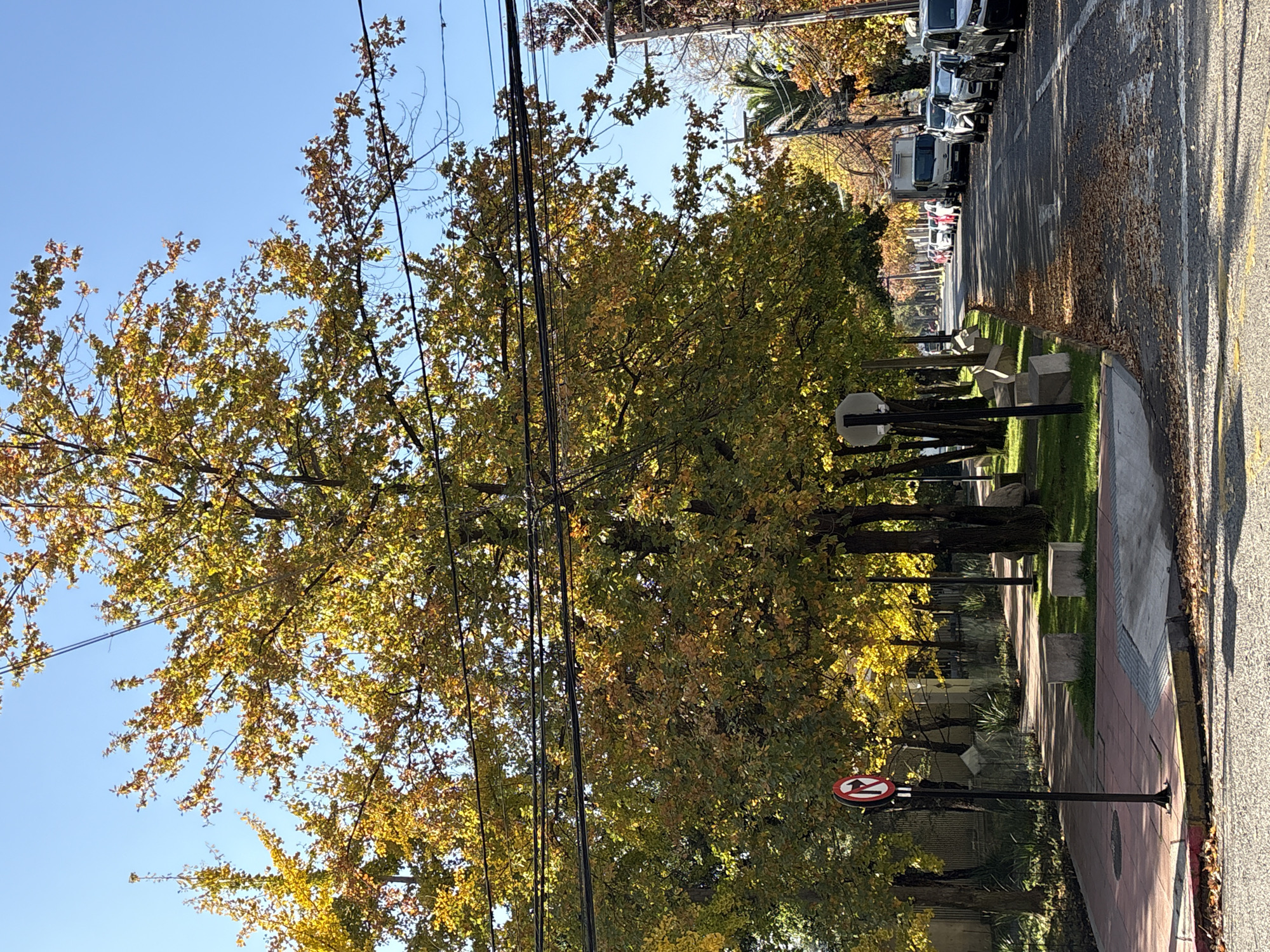 Quiet domestic moments documented in Vitacura during autumn afternoon