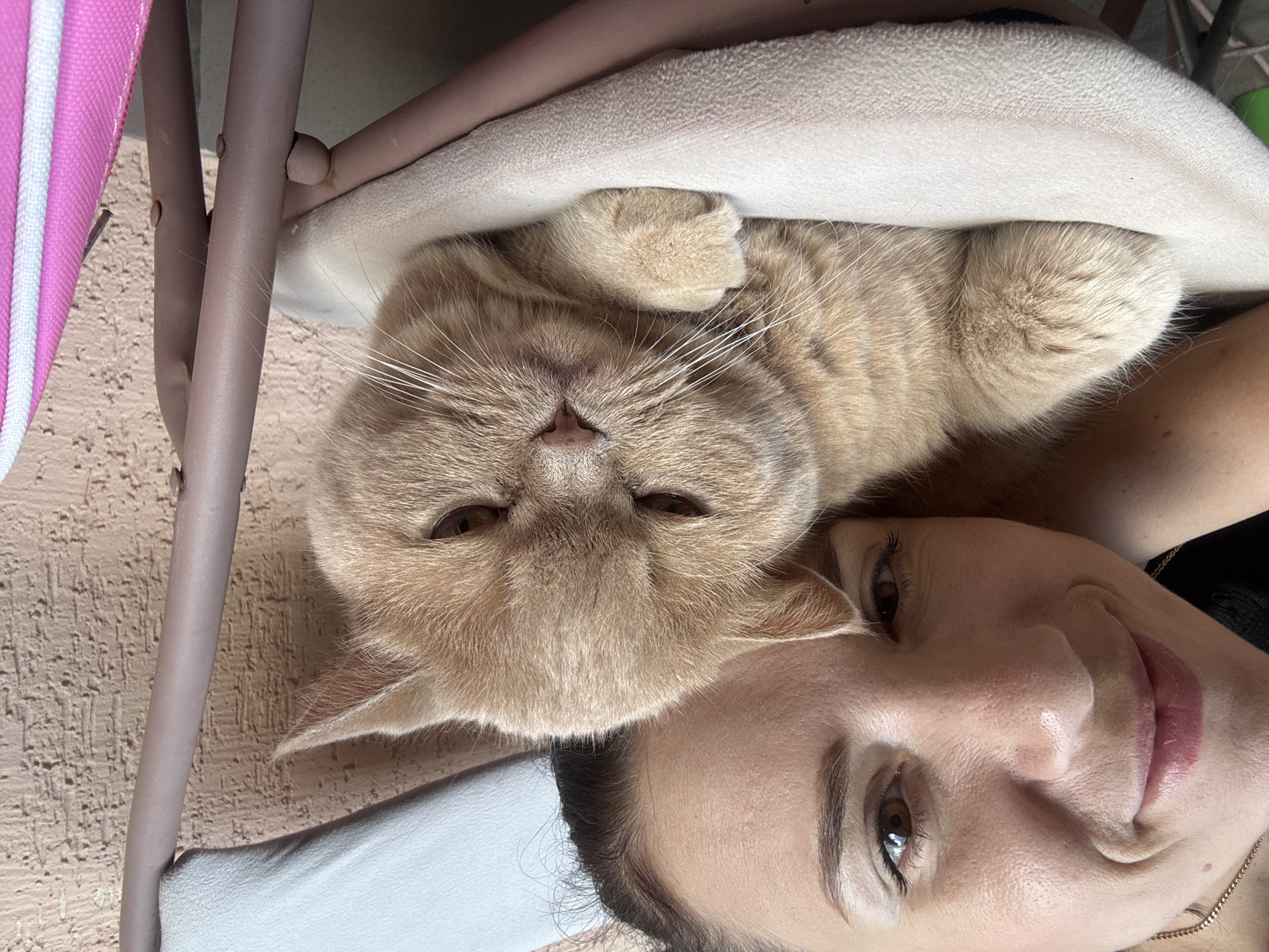 Lazy Sunday with ginger cat and home cooking