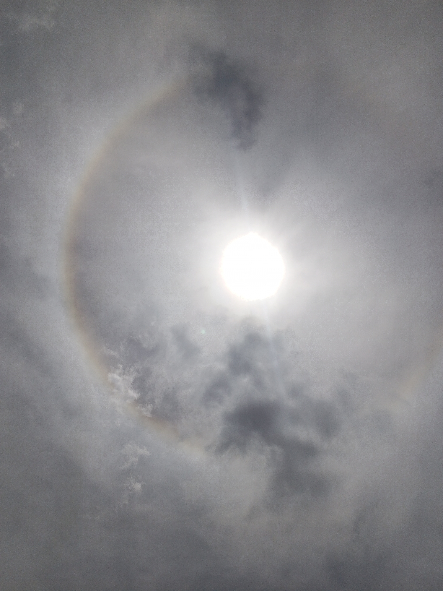 Mixed observations: solar halo, dogs, parked bus recorded