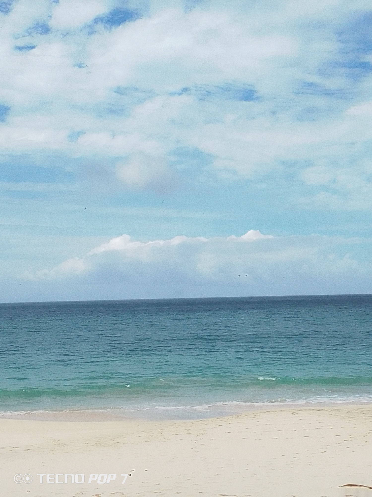 Beach scene documented in Pedro González, Venezuela