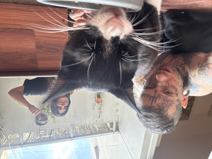 Buenos Aires couple spends quiet evening with pet cat