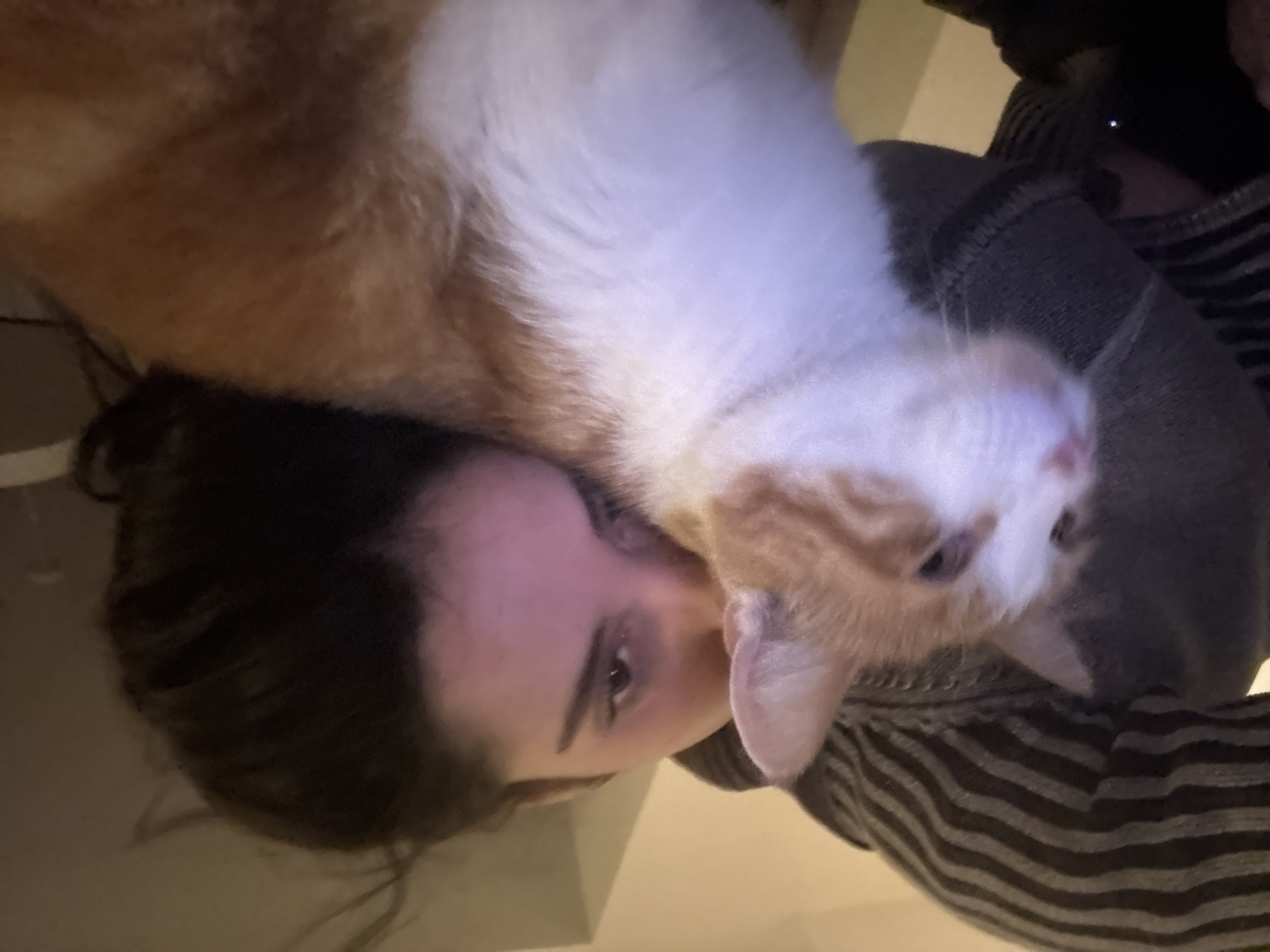 Woman spends quiet moments with orange tabby cat at home