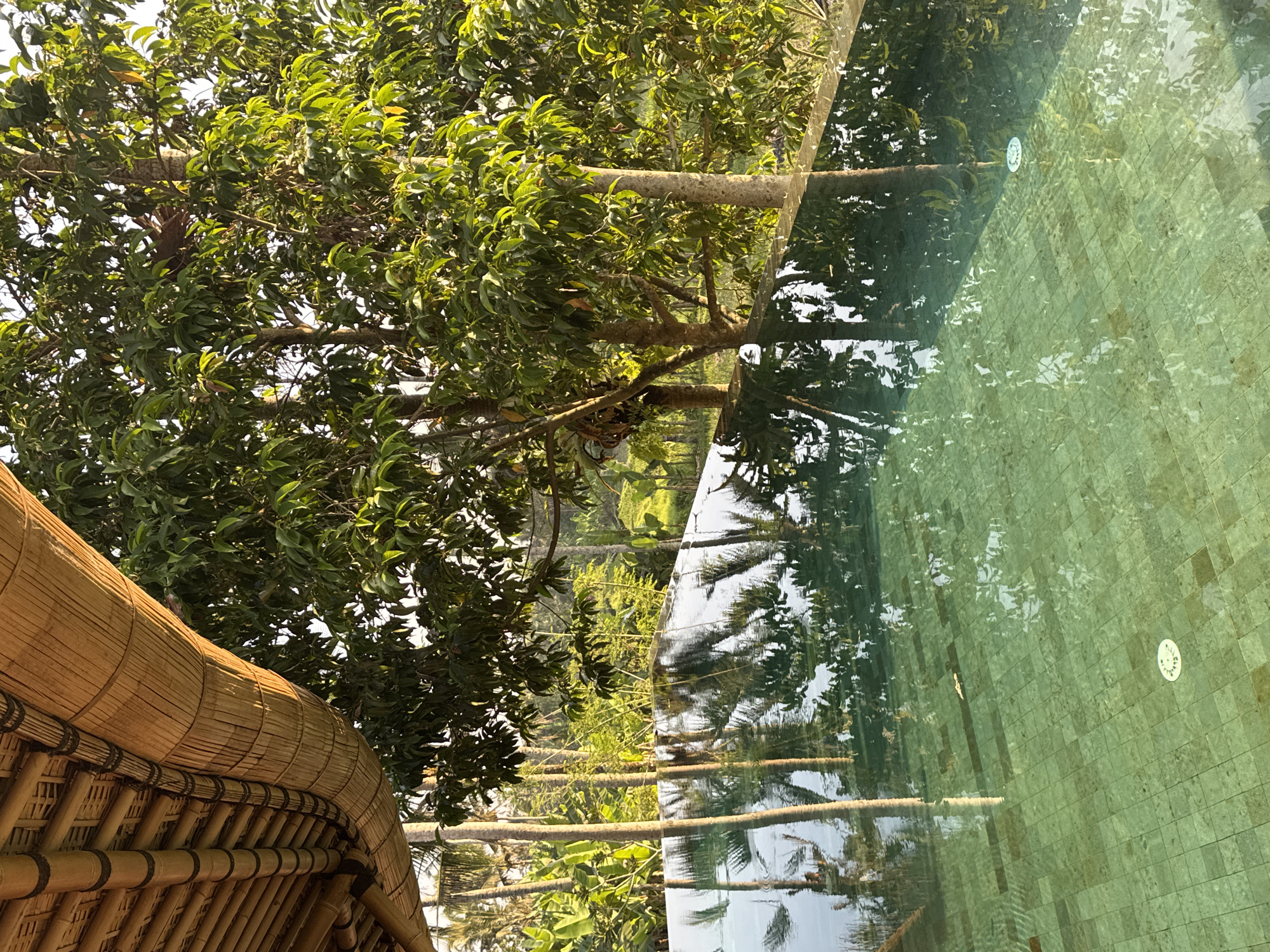 Morning at a bamboo resort in Tegallalang, Bali