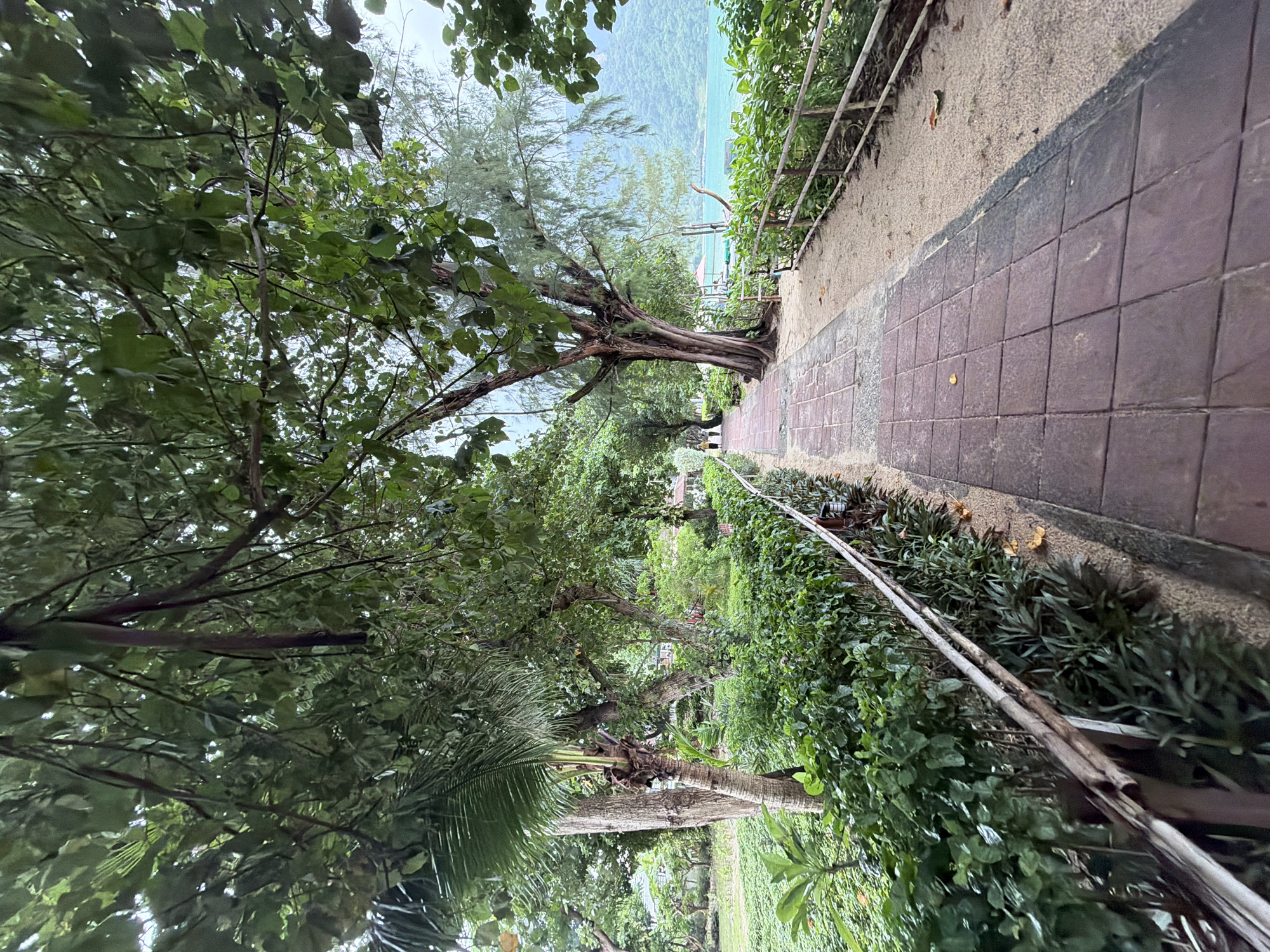 Beachfront breakfast and coastal paths in Ao Nang