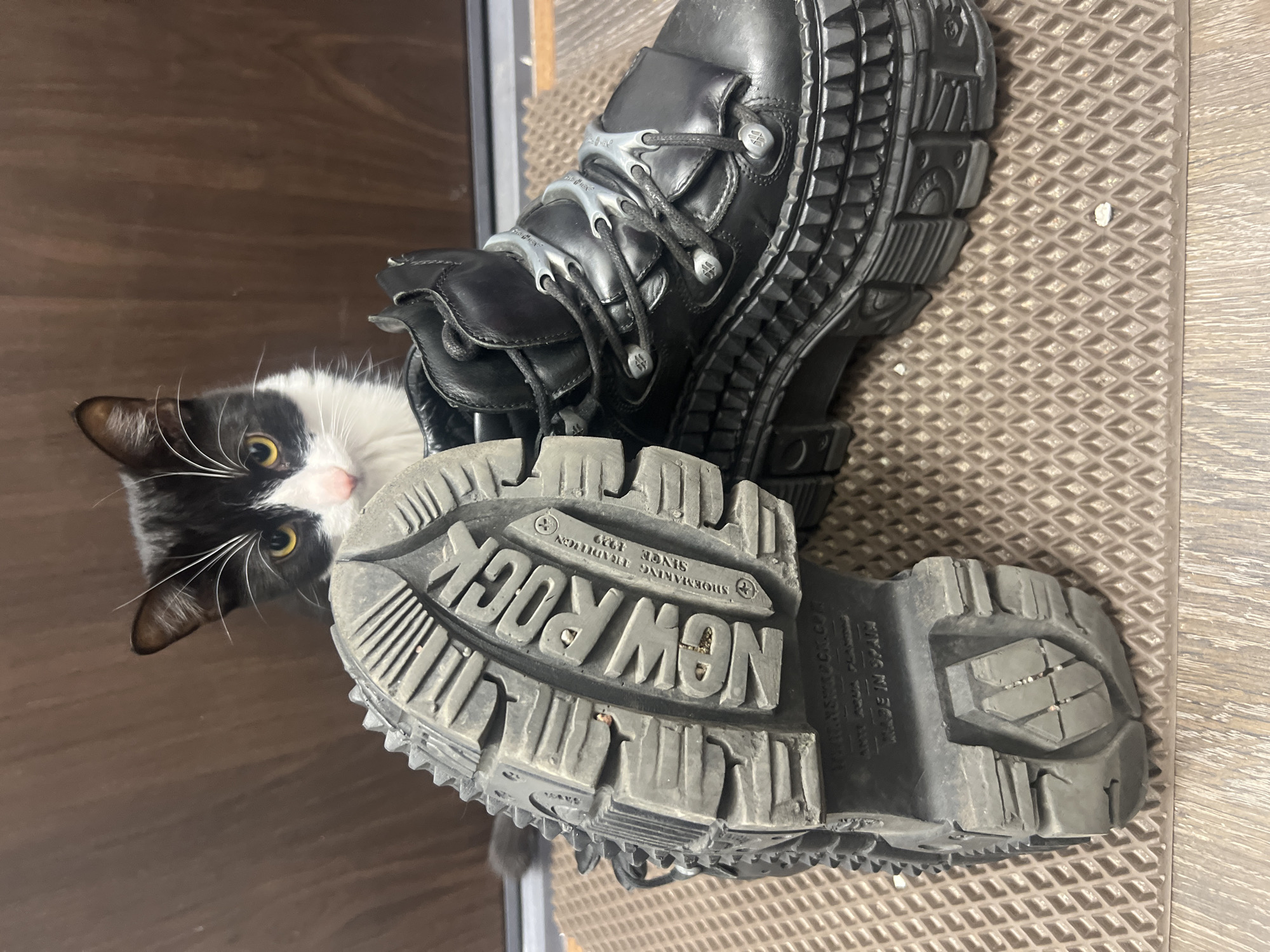 Tuxedo cat observed playing around boots, resting on furniture