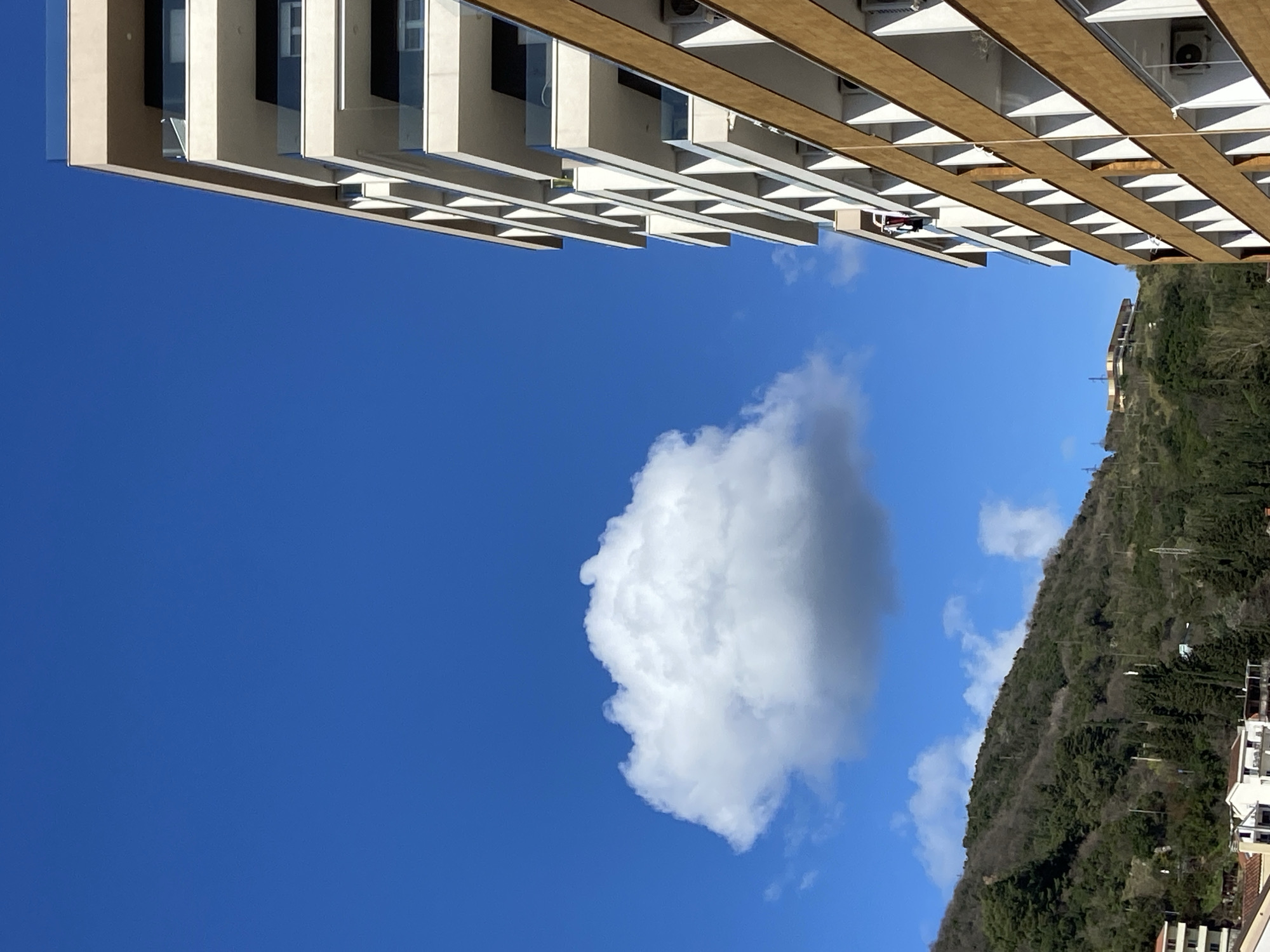 Morning life documented across Budva Montenegro neighborhoods