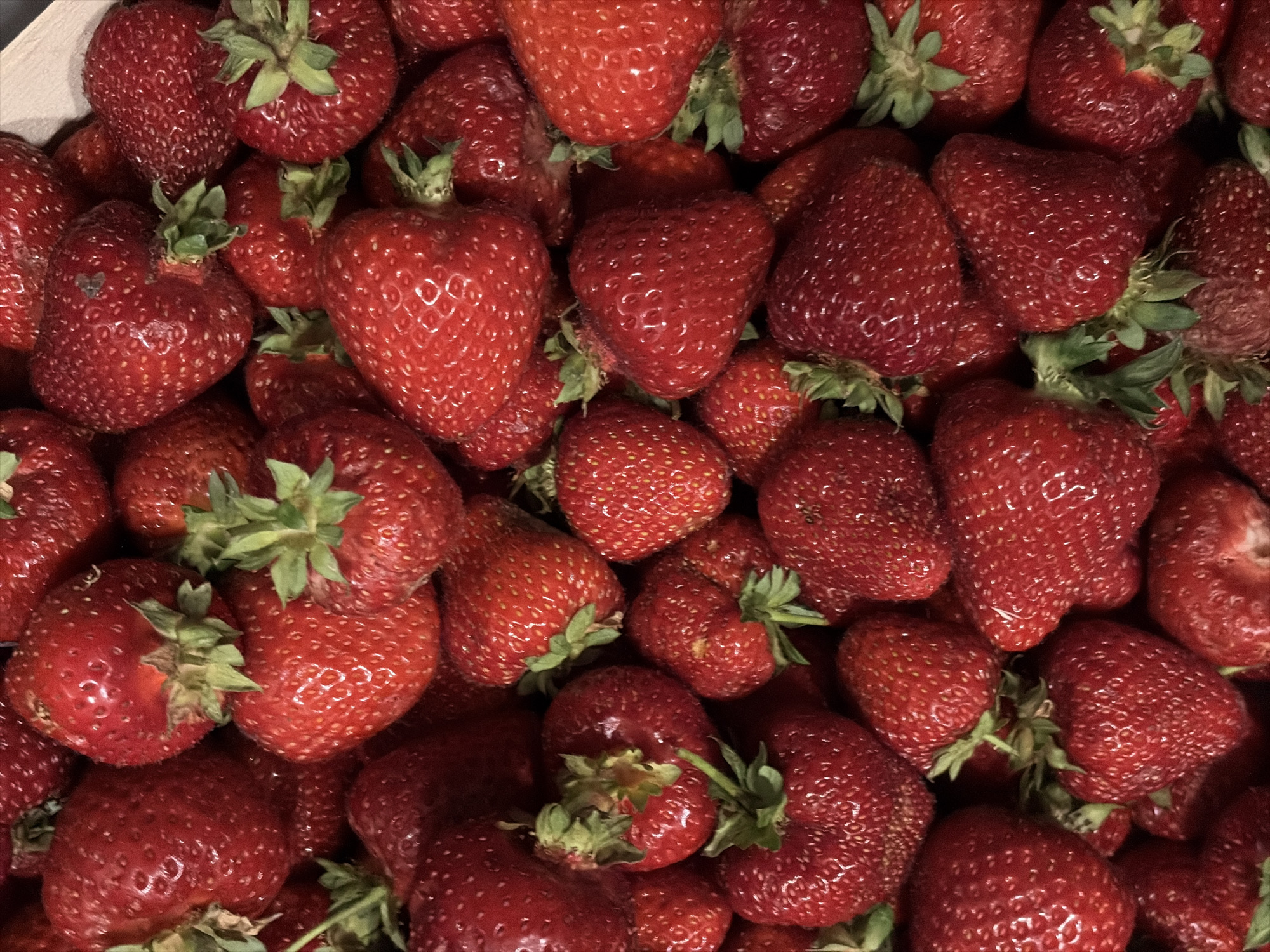 Belgrade streets and a strawberry pile, early morning