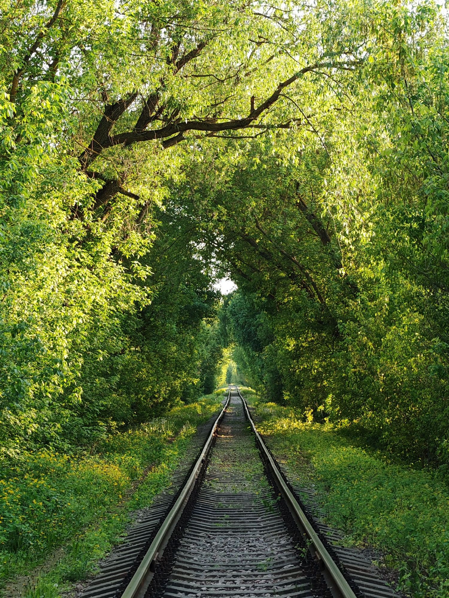 Witness documents railroad, forest, residential scenes in Mikhnevo