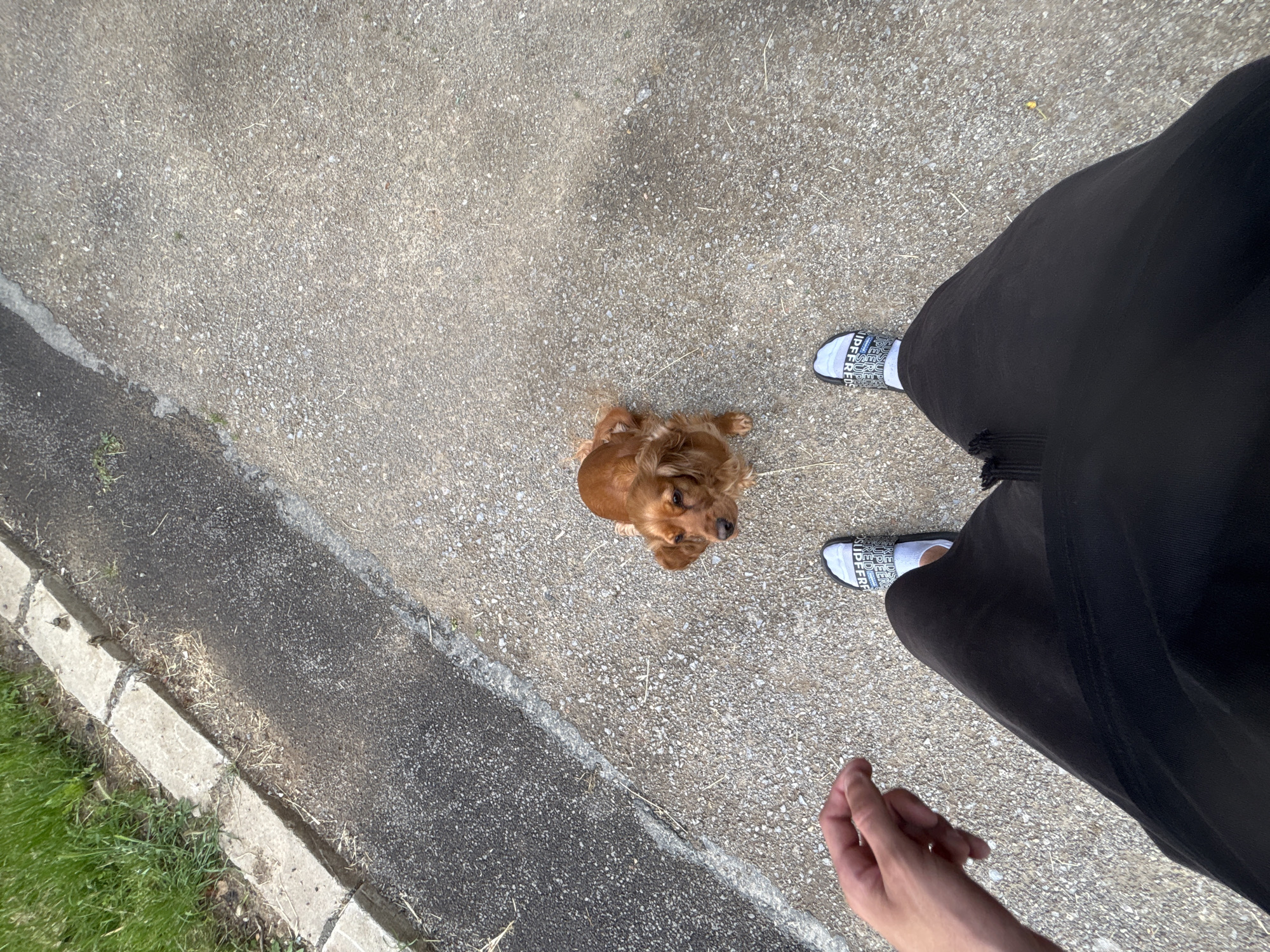 Everyday moments documented: pets, selfies, street scenes captured Saturday