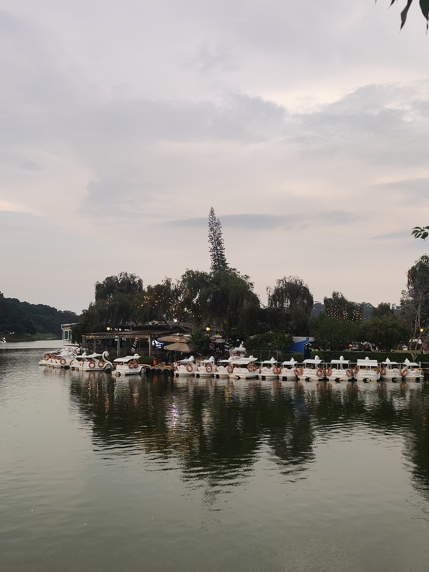Afternoon life unfolds around Da Lat's Xuan Huong Lake